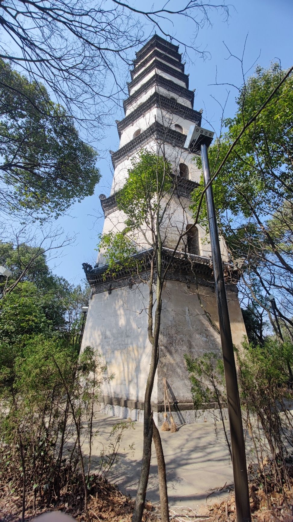 凝秀塔旅行图片 1