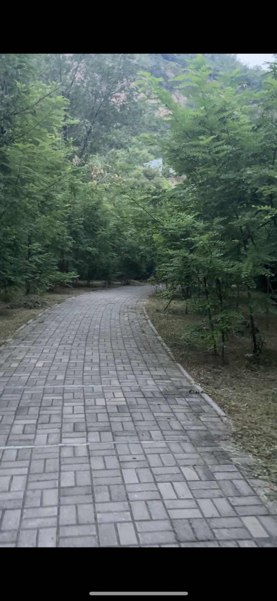 黎明脚步山地公园旅行图片 1