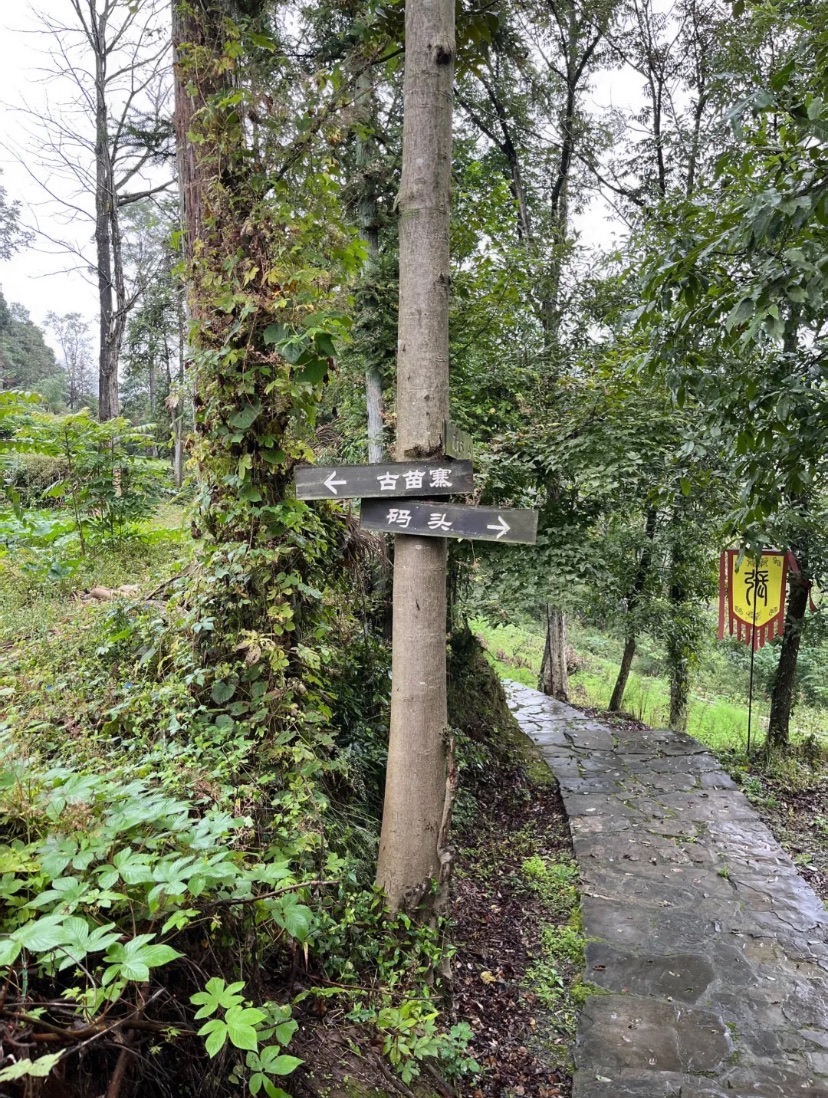 老家寨旅行图片 3