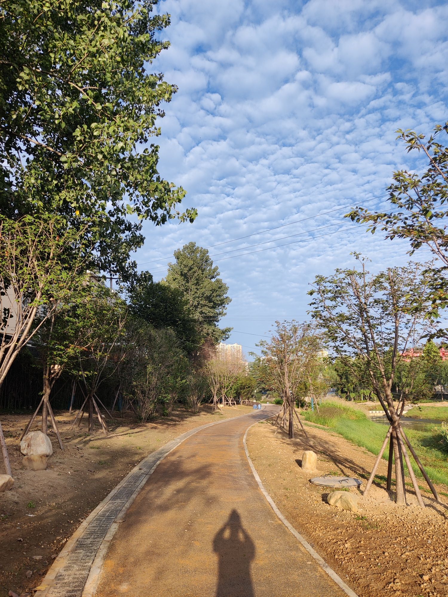马家河滨河公园