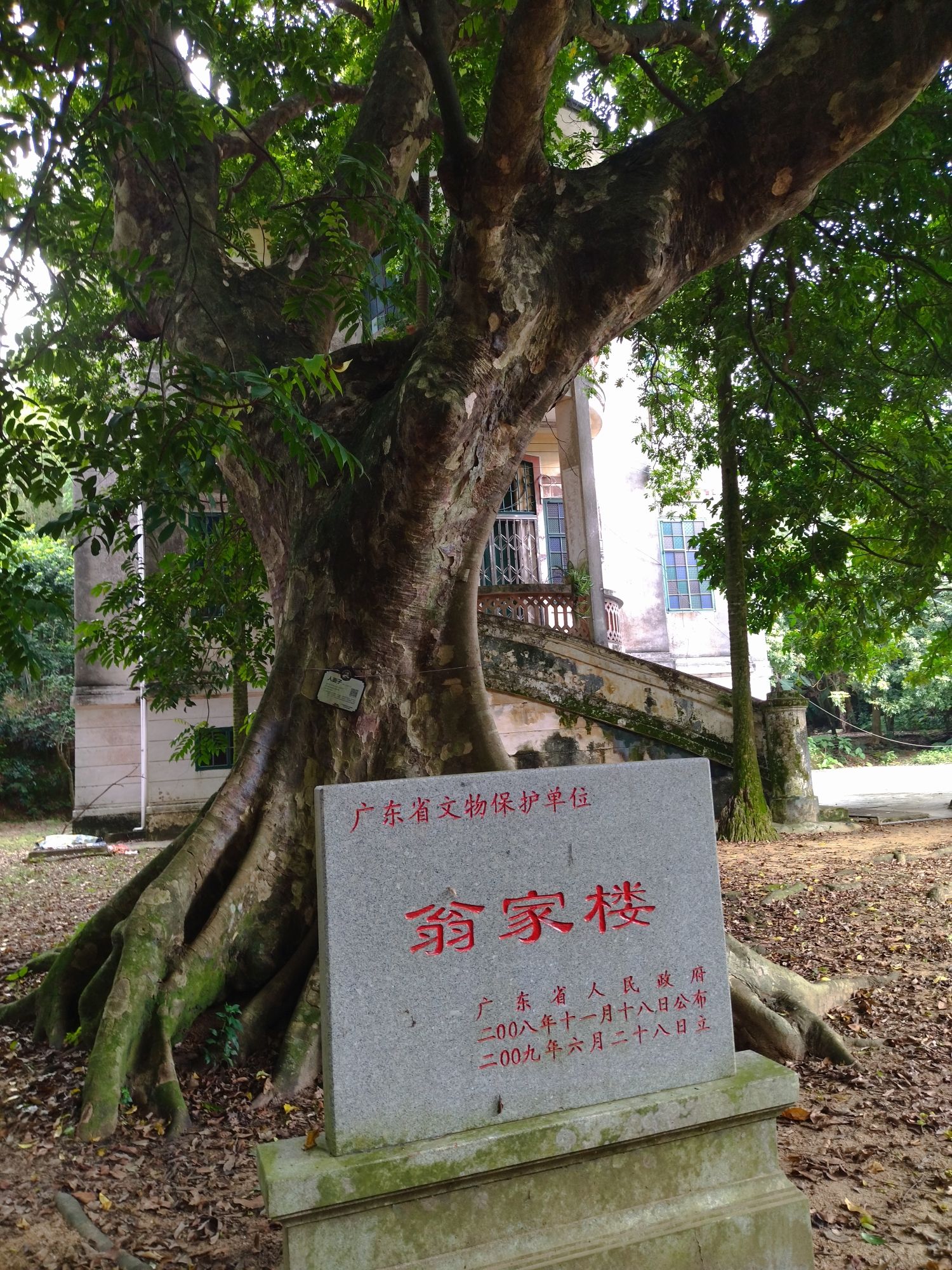 端芬翁家楼旅行图片 1