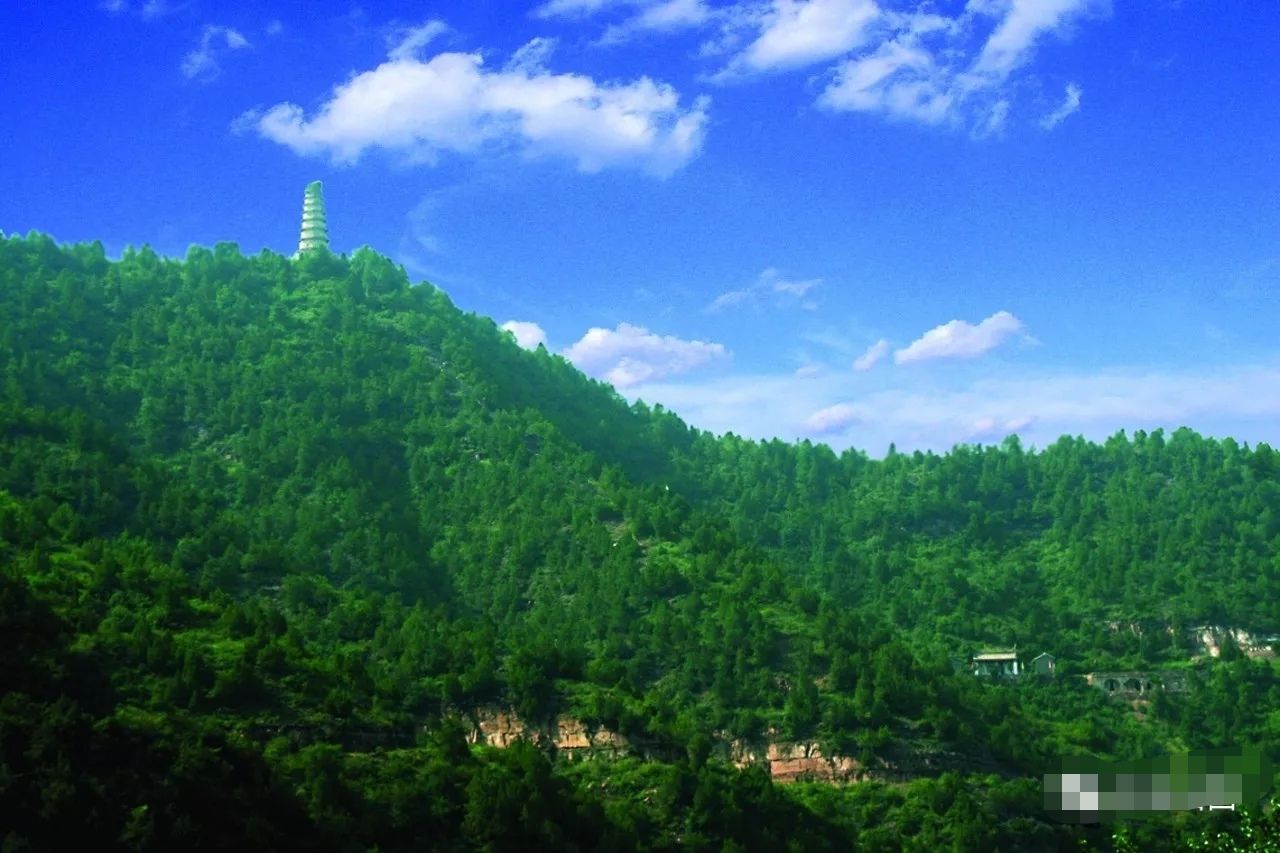 麻衣寺砖塔旅行图片 3