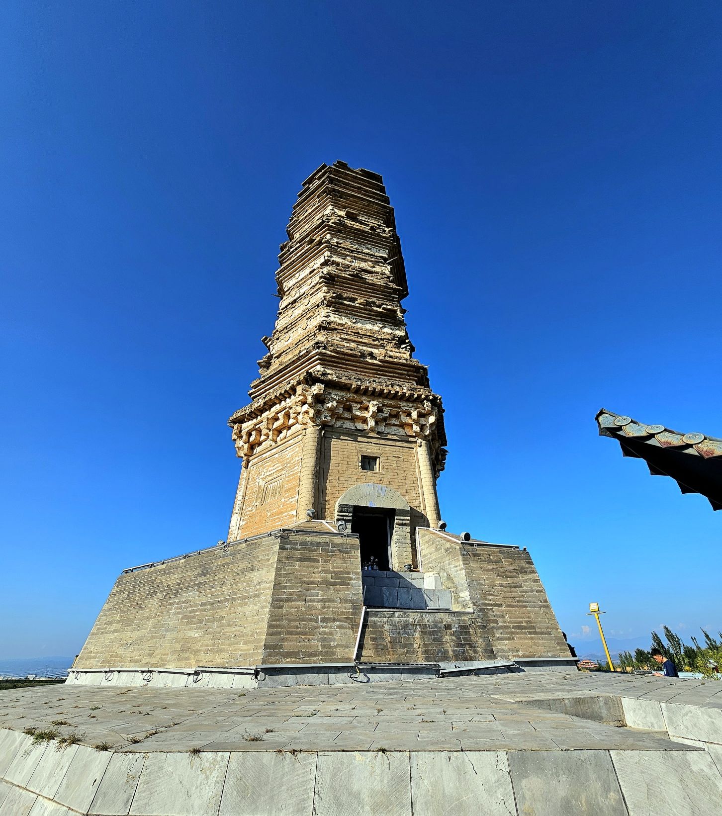 佛真猞猁迤逻尼塔旅行图片 3