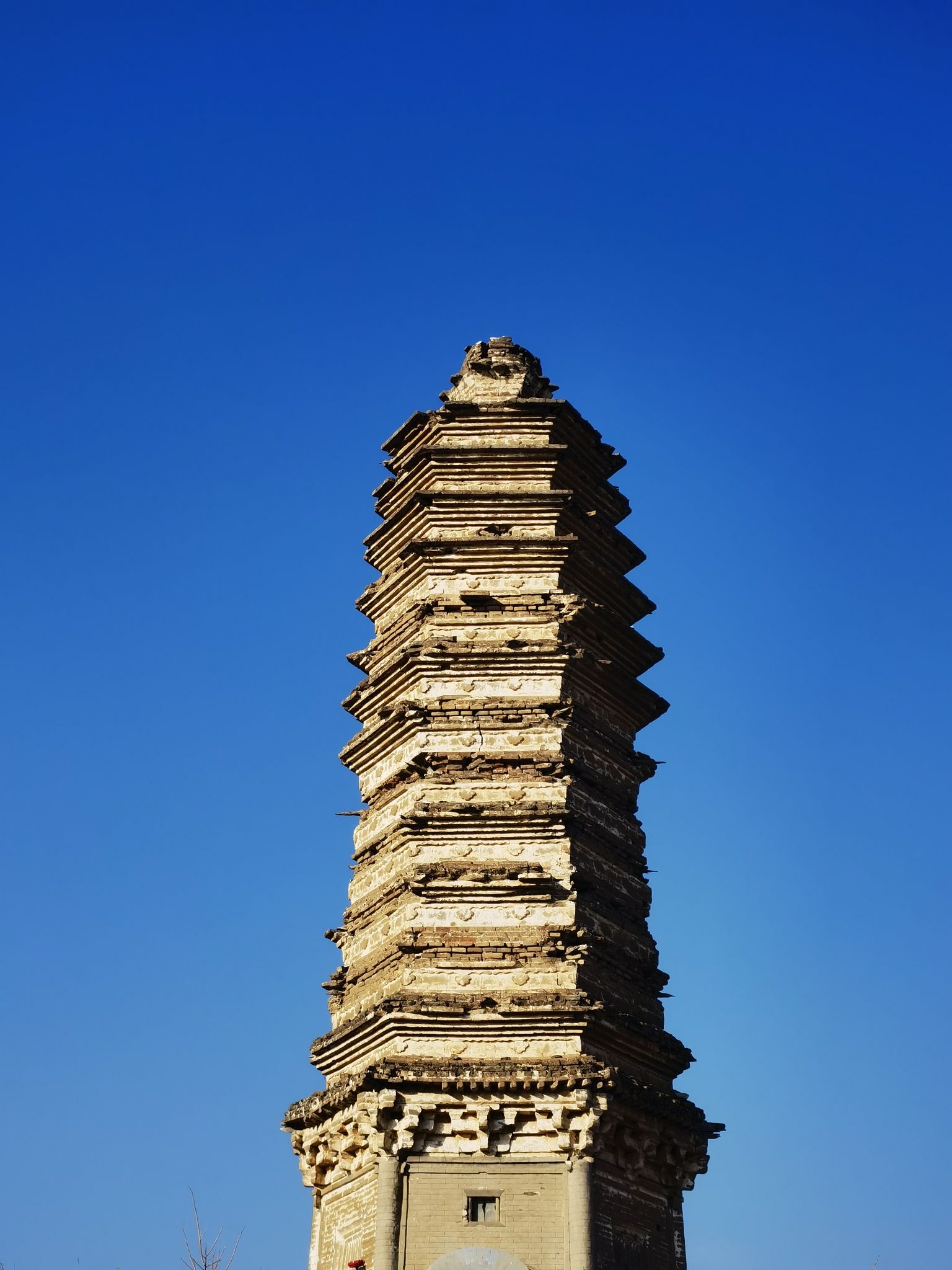 佛真猞猁迤逻尼塔旅行图片 1