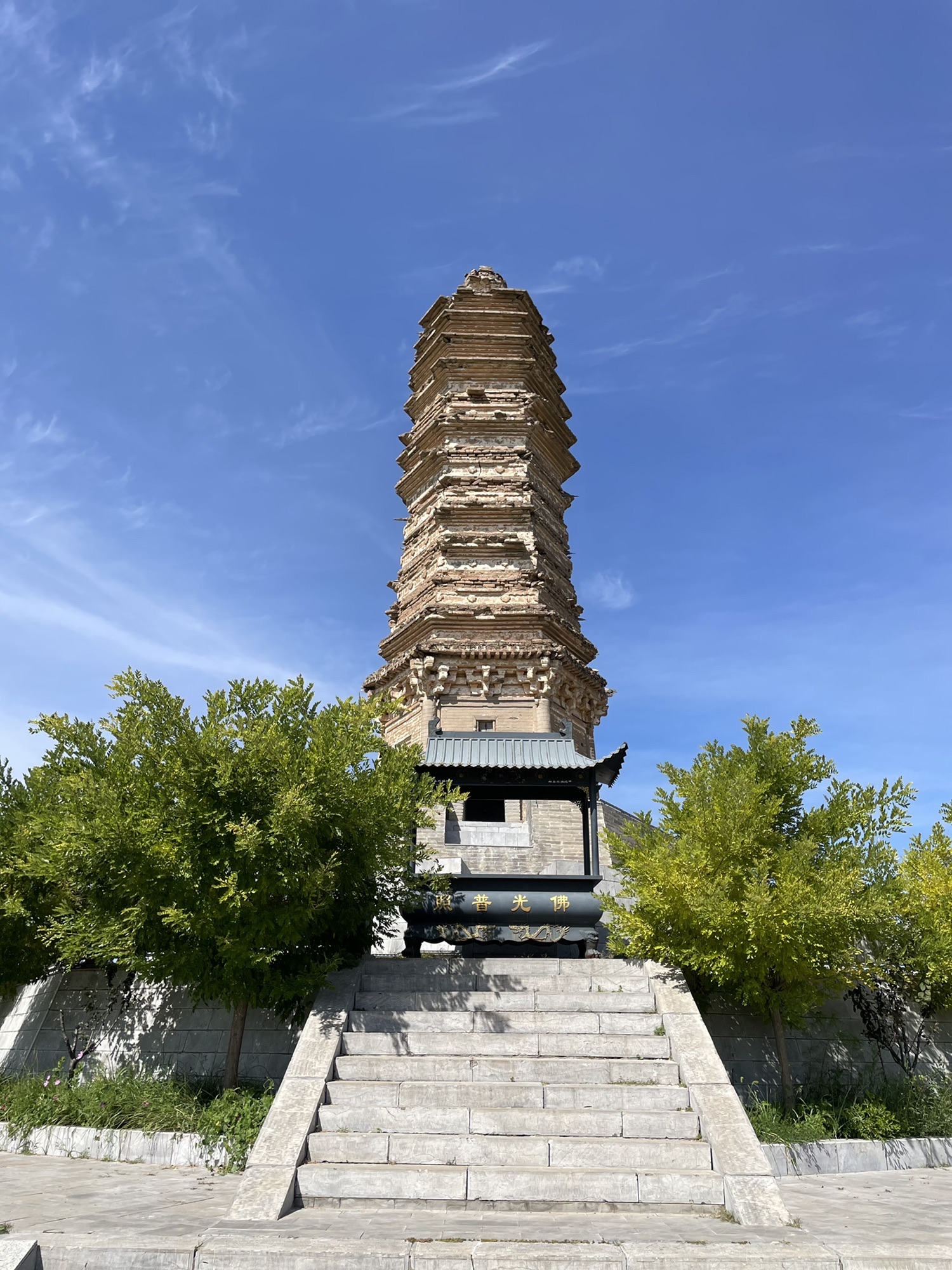 佛真猞猁迤逻尼塔旅行图片 1