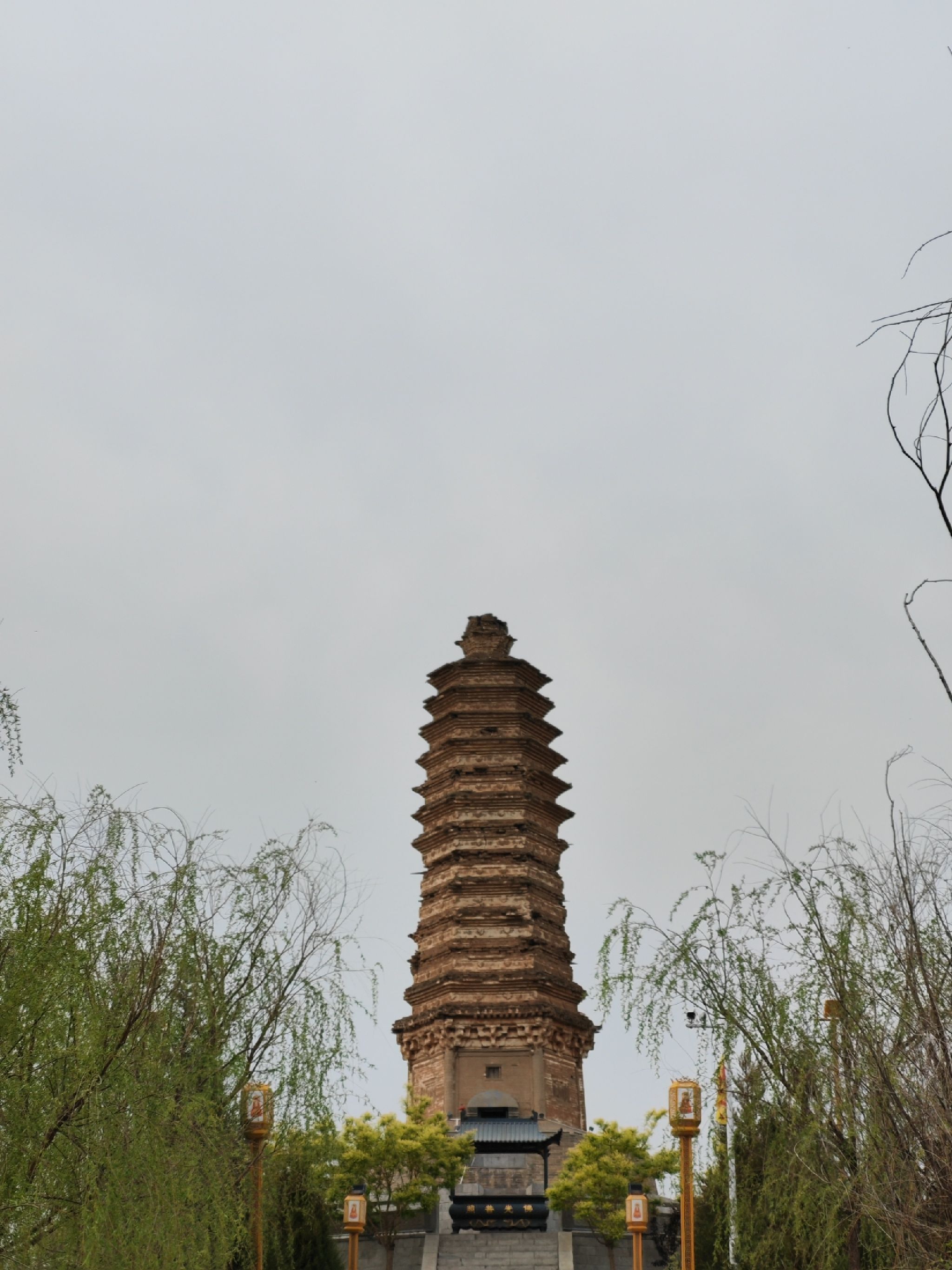 佛真猞猁迤逻尼塔旅行图片 1
