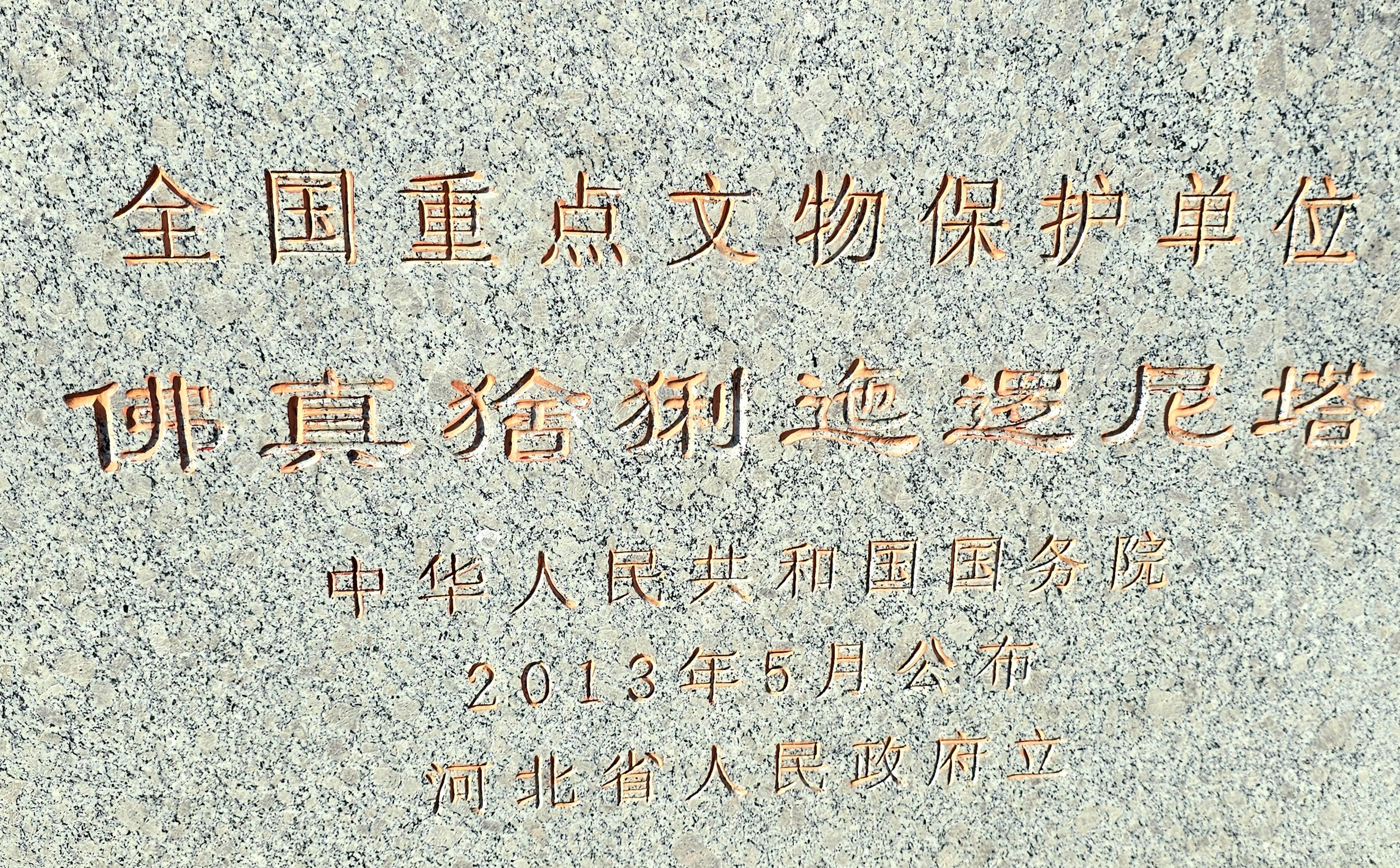 佛真猞猁迤逻尼塔旅行图片 1
