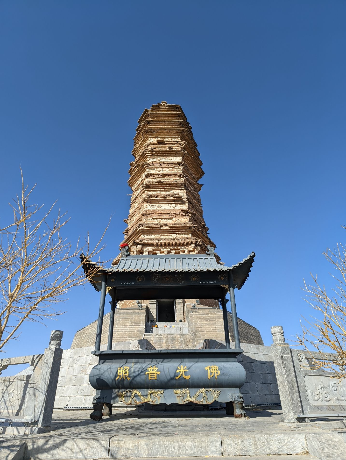 佛真猞猁迤逻尼塔旅行图片 1
