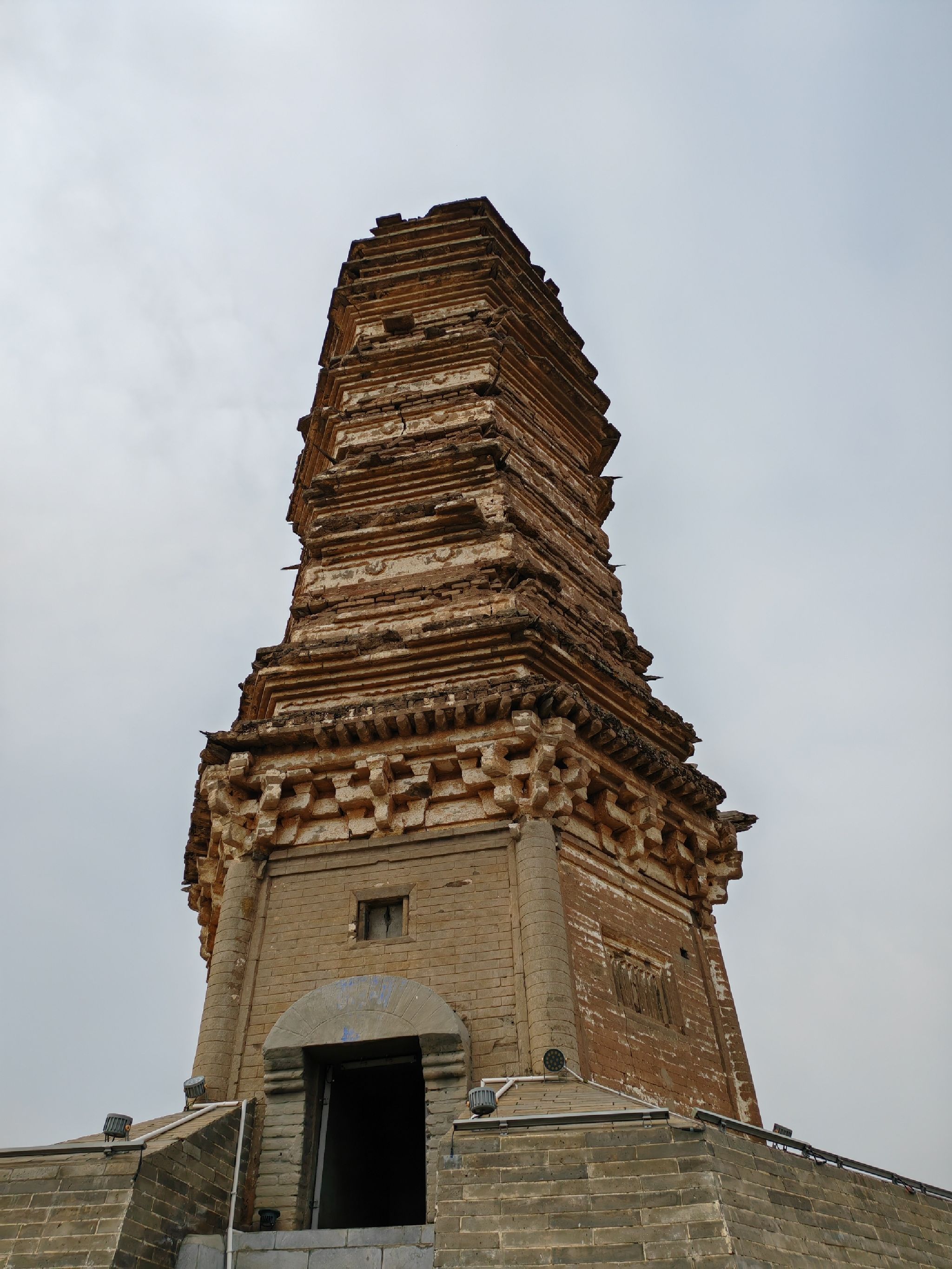 佛真猞猁迤逻尼塔旅行图片 2