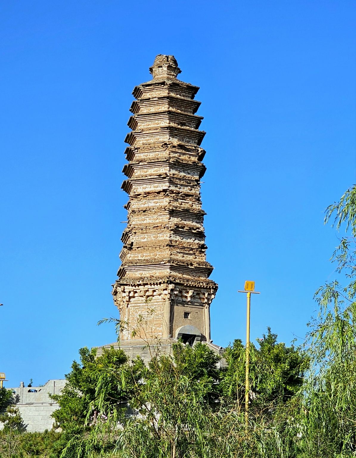 佛真猞猁迤逻尼塔旅行图片 2