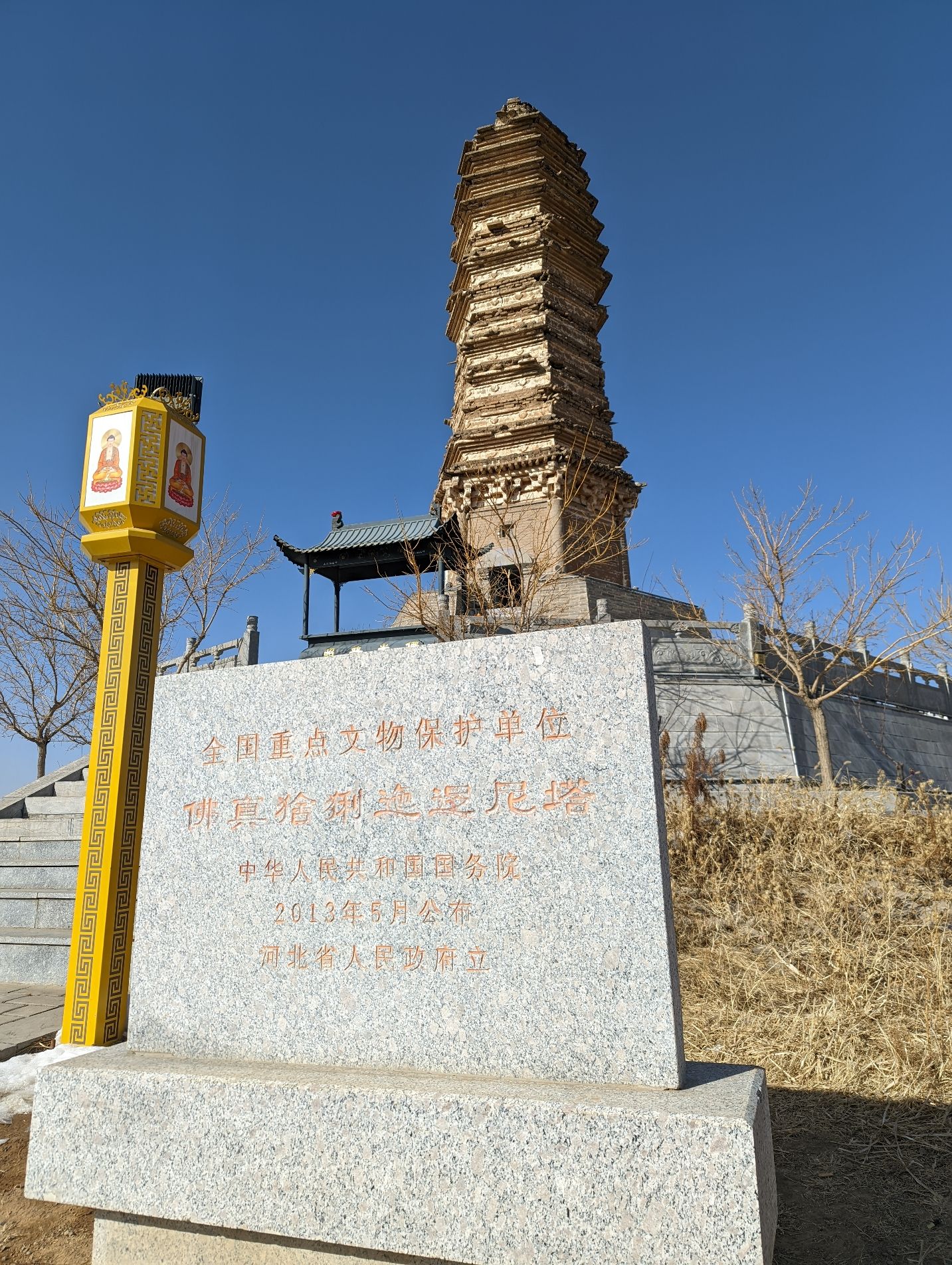 佛真猞猁迤逻尼塔旅行图片 2