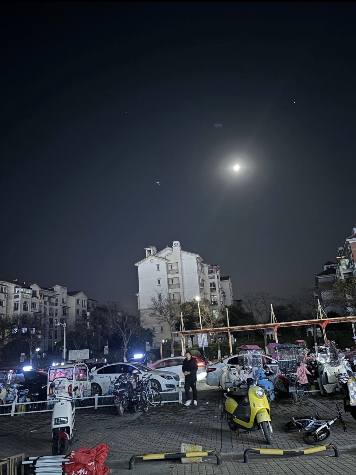 碧桂园环湖湿地公园旅行图片 3