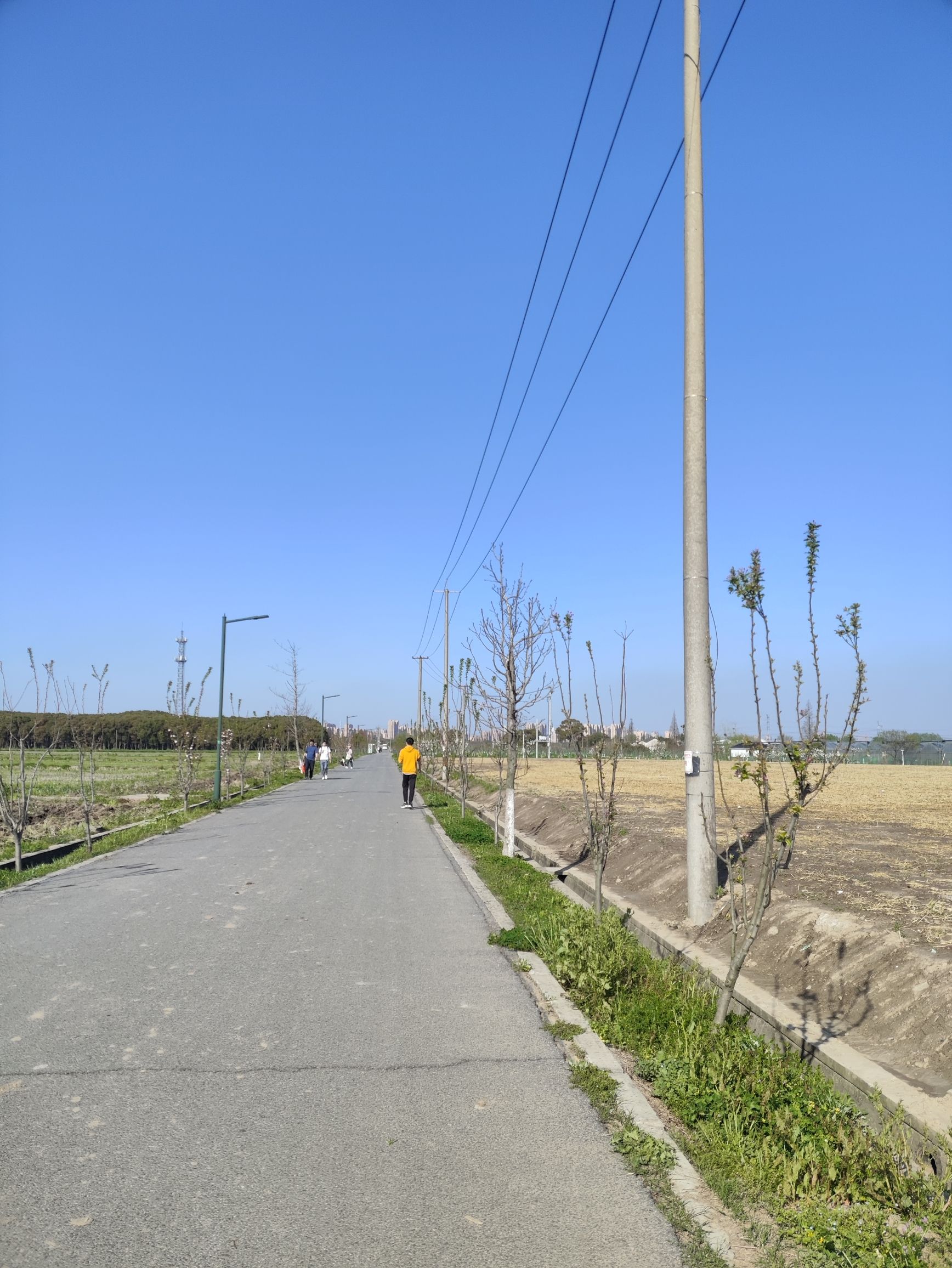 嘉北郊野公园旅行图片 1