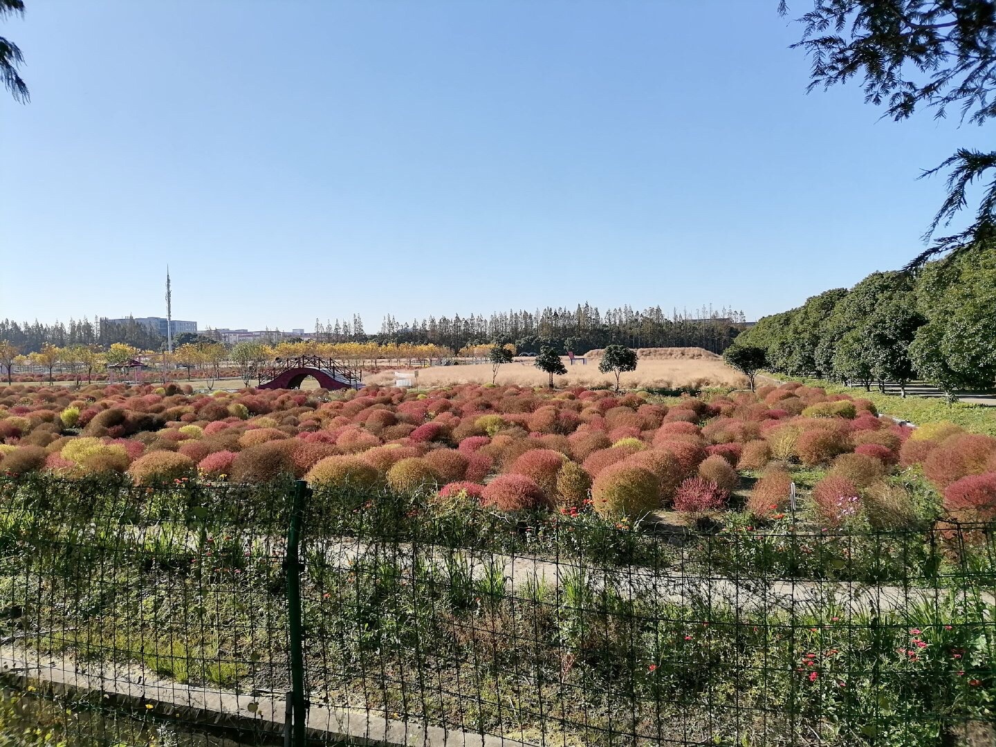 嘉北郊野公园旅行图片 2