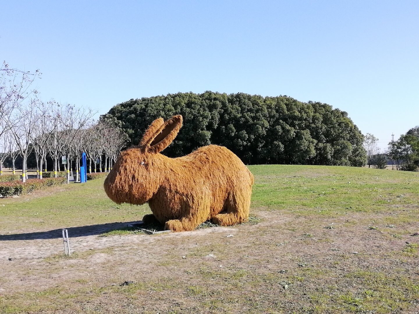 嘉北郊野公园旅行图片 1