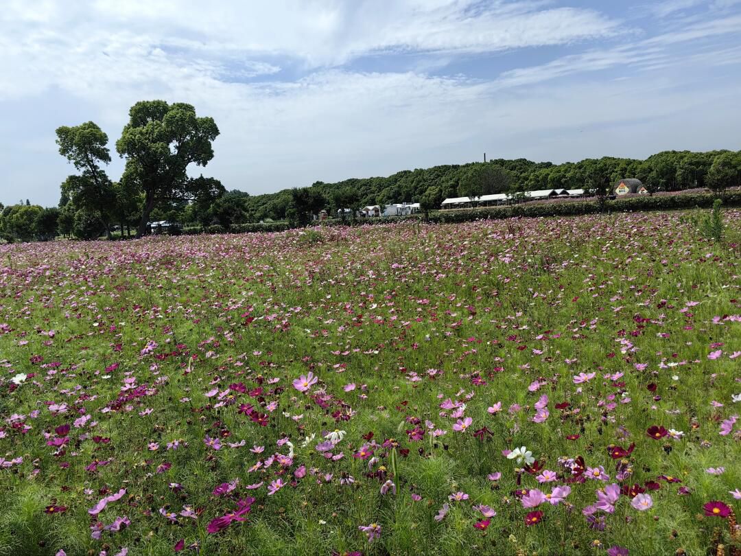 嘉北郊野公园旅行图片 1
