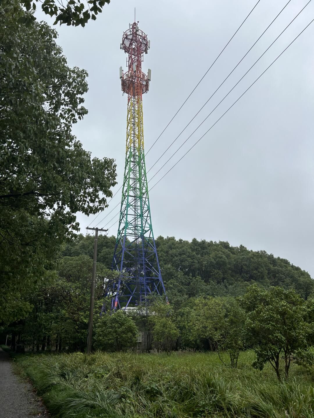 嘉北郊野公园旅行图片 2