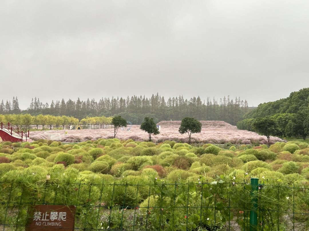 嘉北郊野公园旅行图片 3