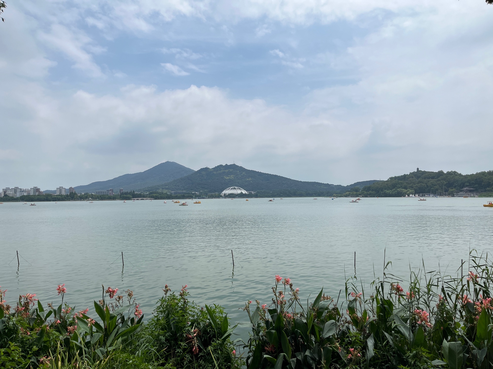 玄武湖景区-观山桥