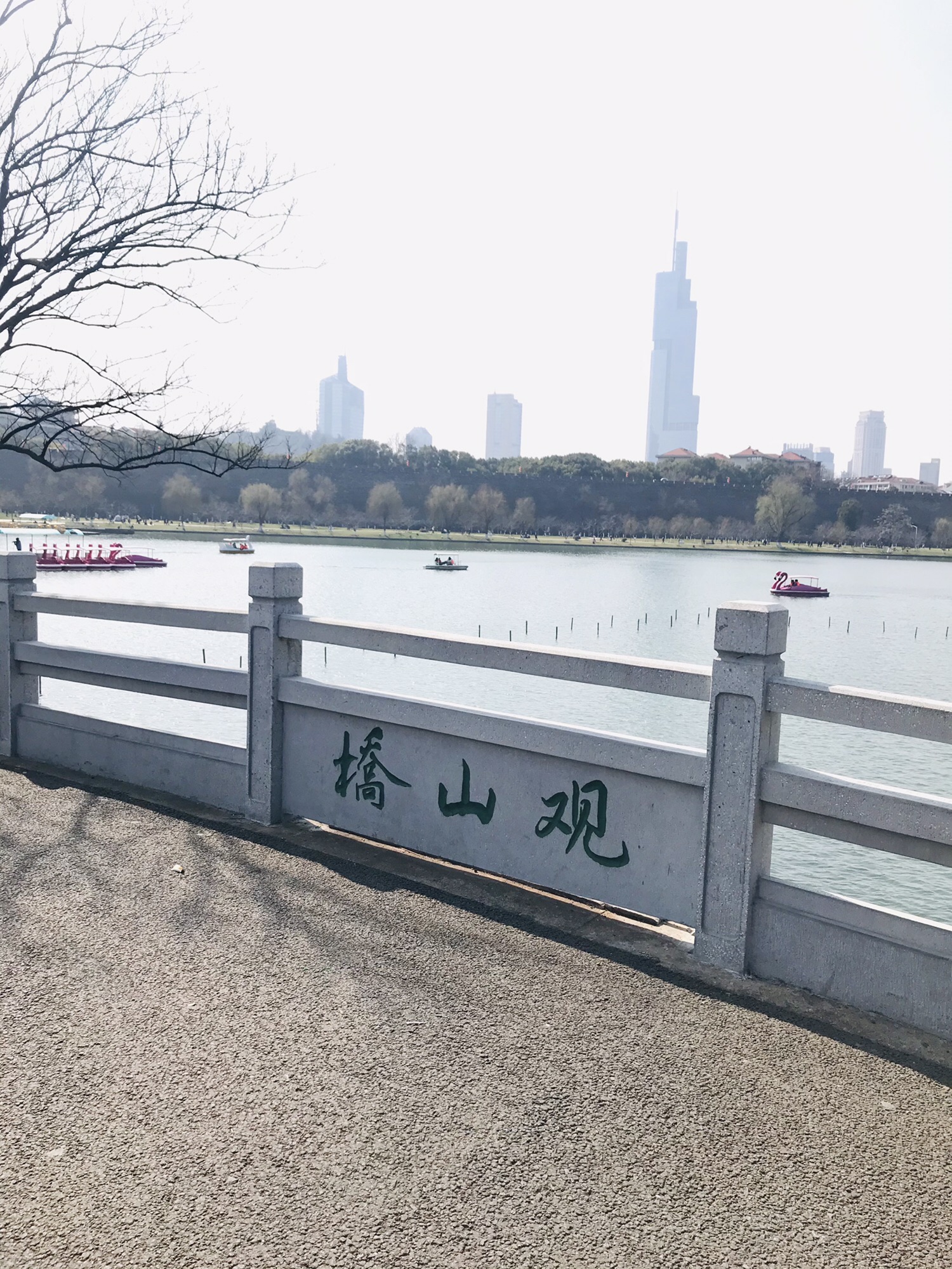 玄武湖景区-观山桥