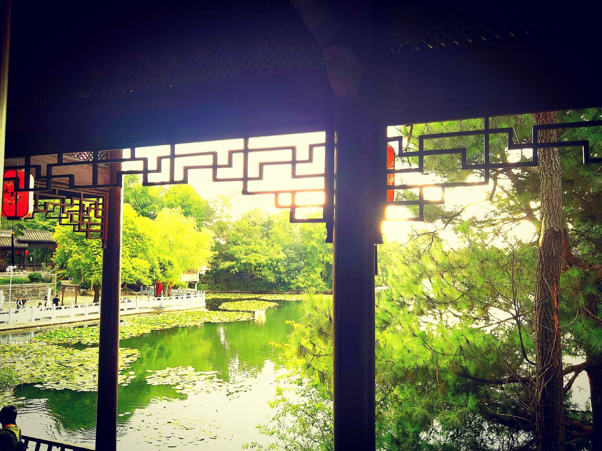南门湖旅行图片 3