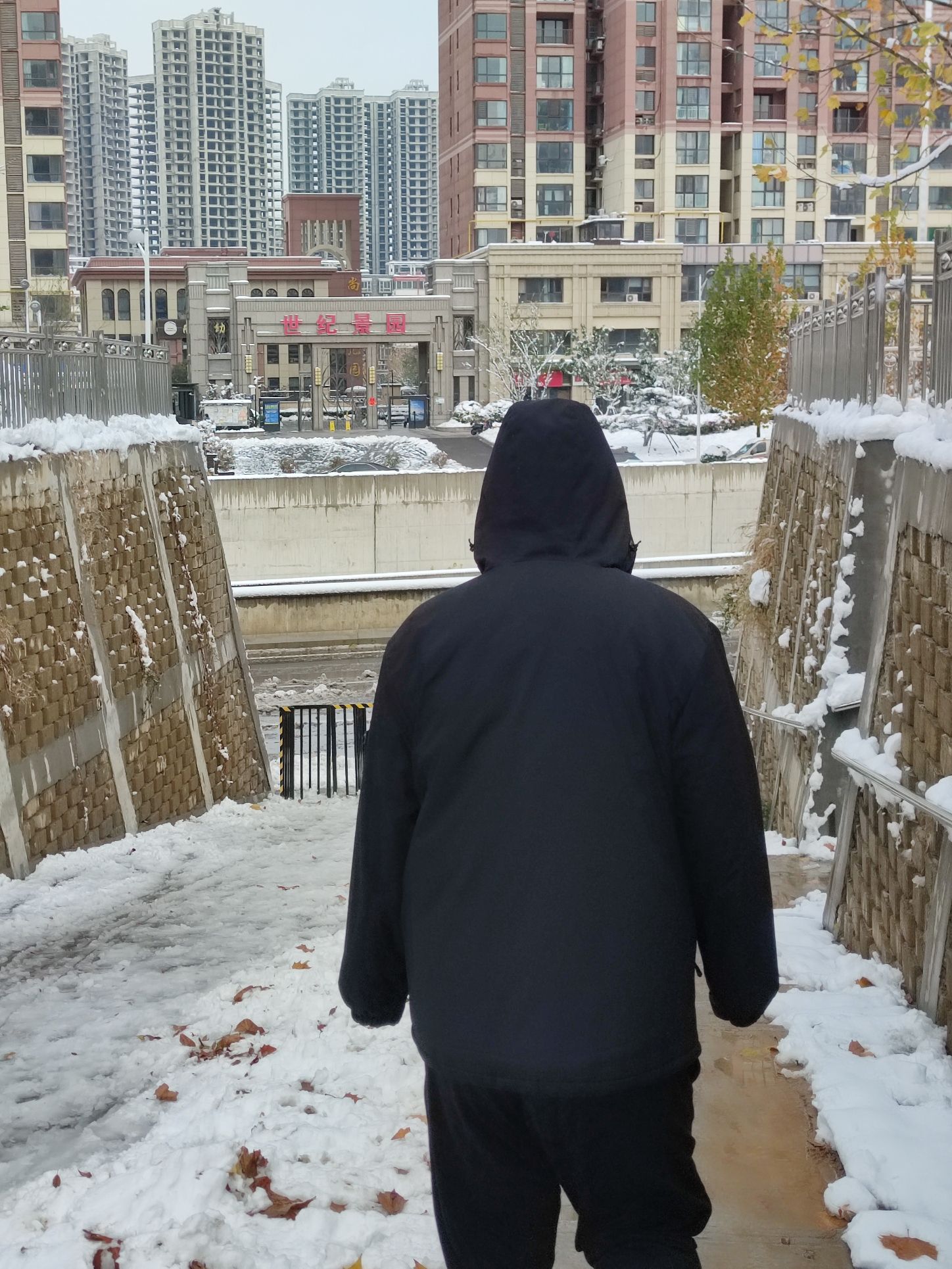 东陈伍寨公园旅行图片 2