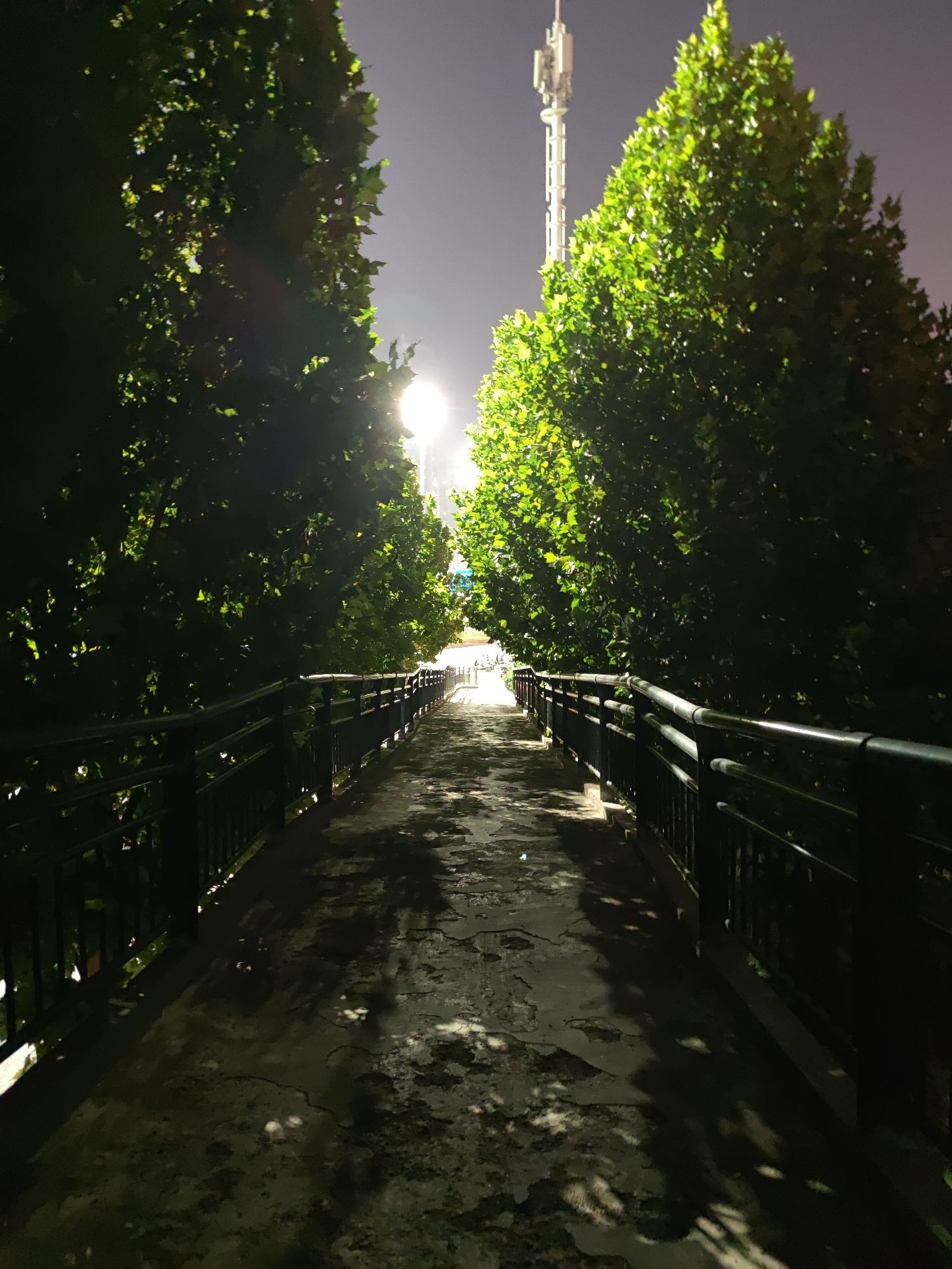 东陈伍寨公园旅行图片 3