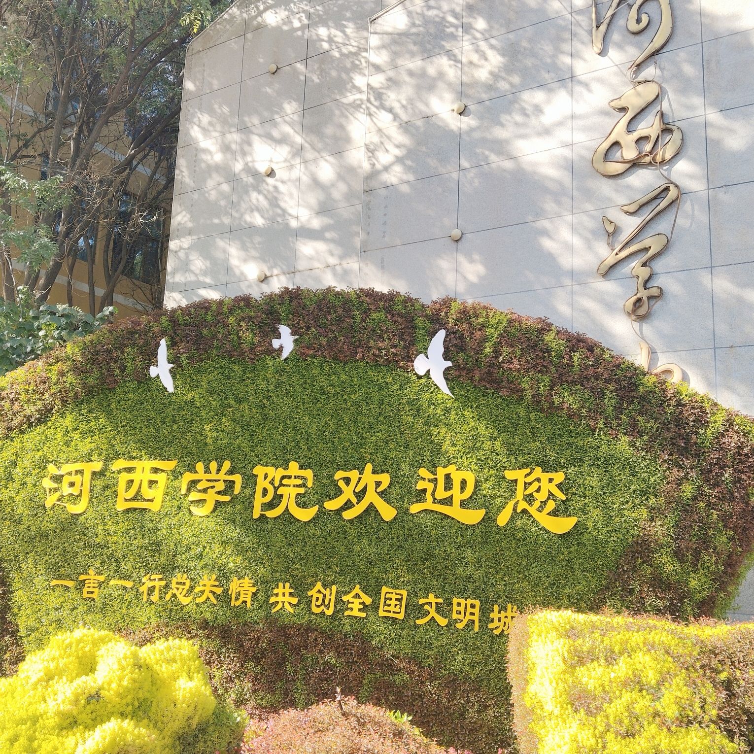 河西学院