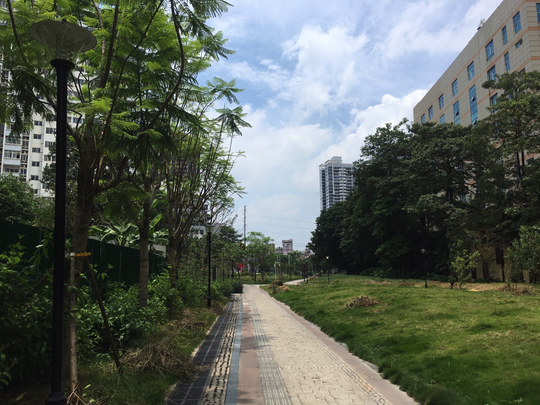 西乡塘区城市广场(衡阳东路)旅行图片 2
