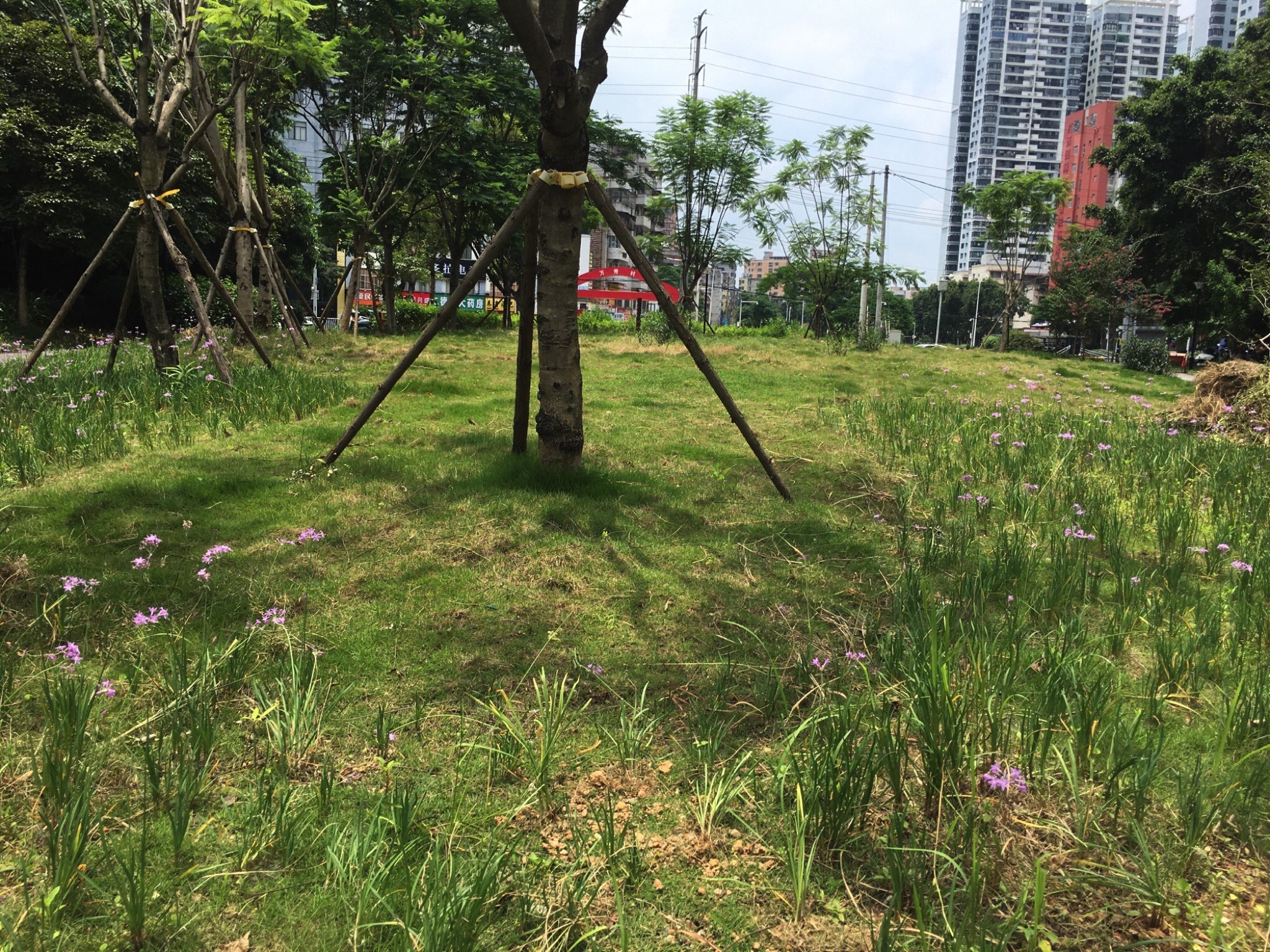 西乡塘区城市广场(衡阳东路)旅行图片 3