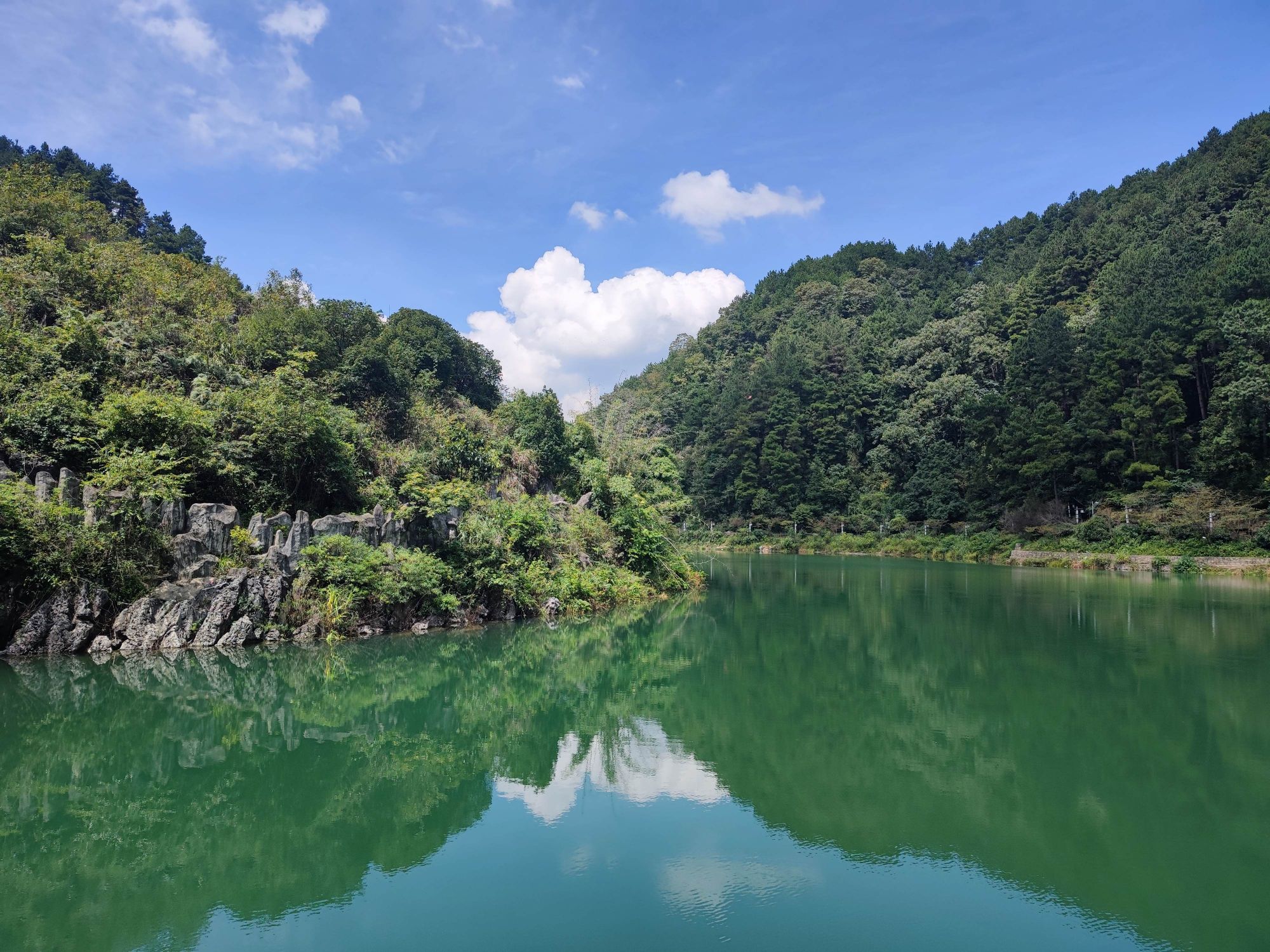 青云湖森林公园