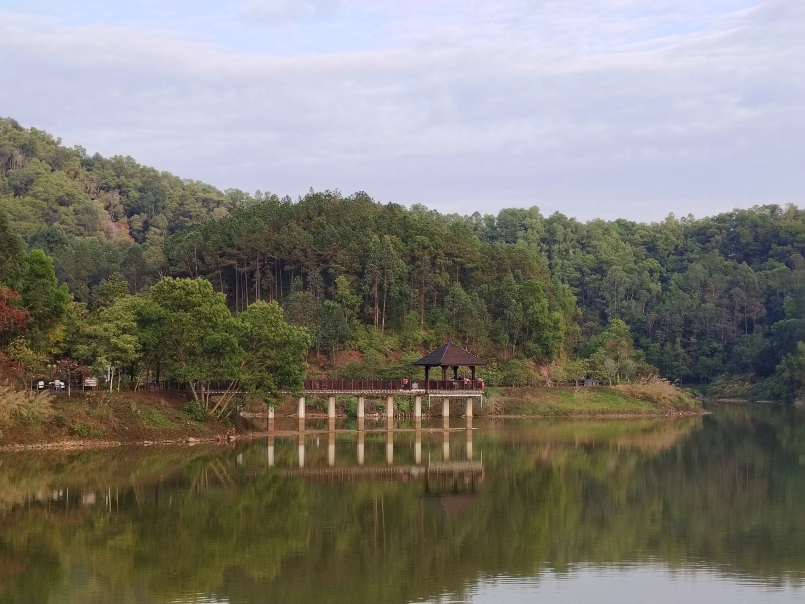 博罗东山省级森林公园旅行图片 1