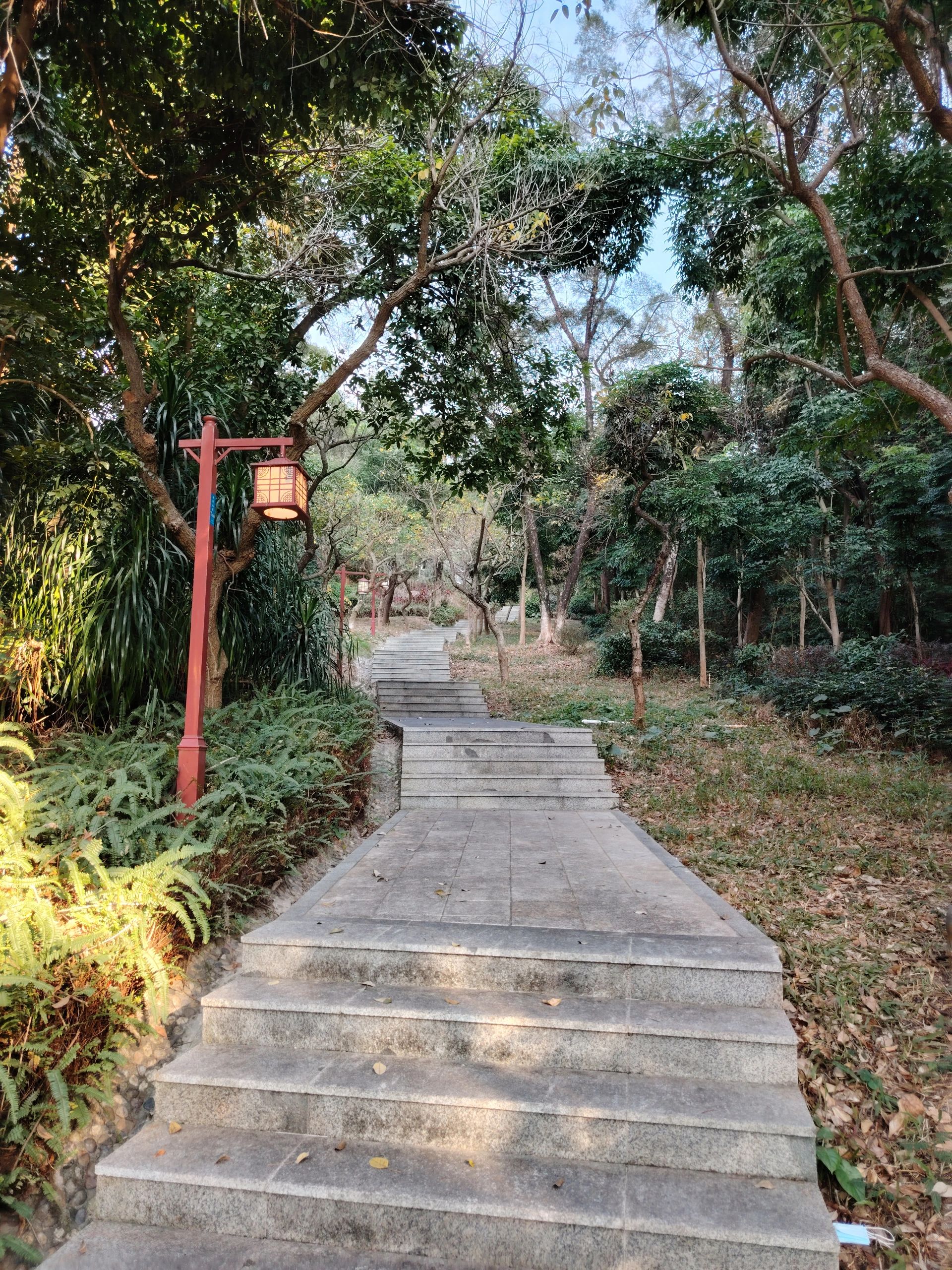 博罗东山省级森林公园旅行图片 3