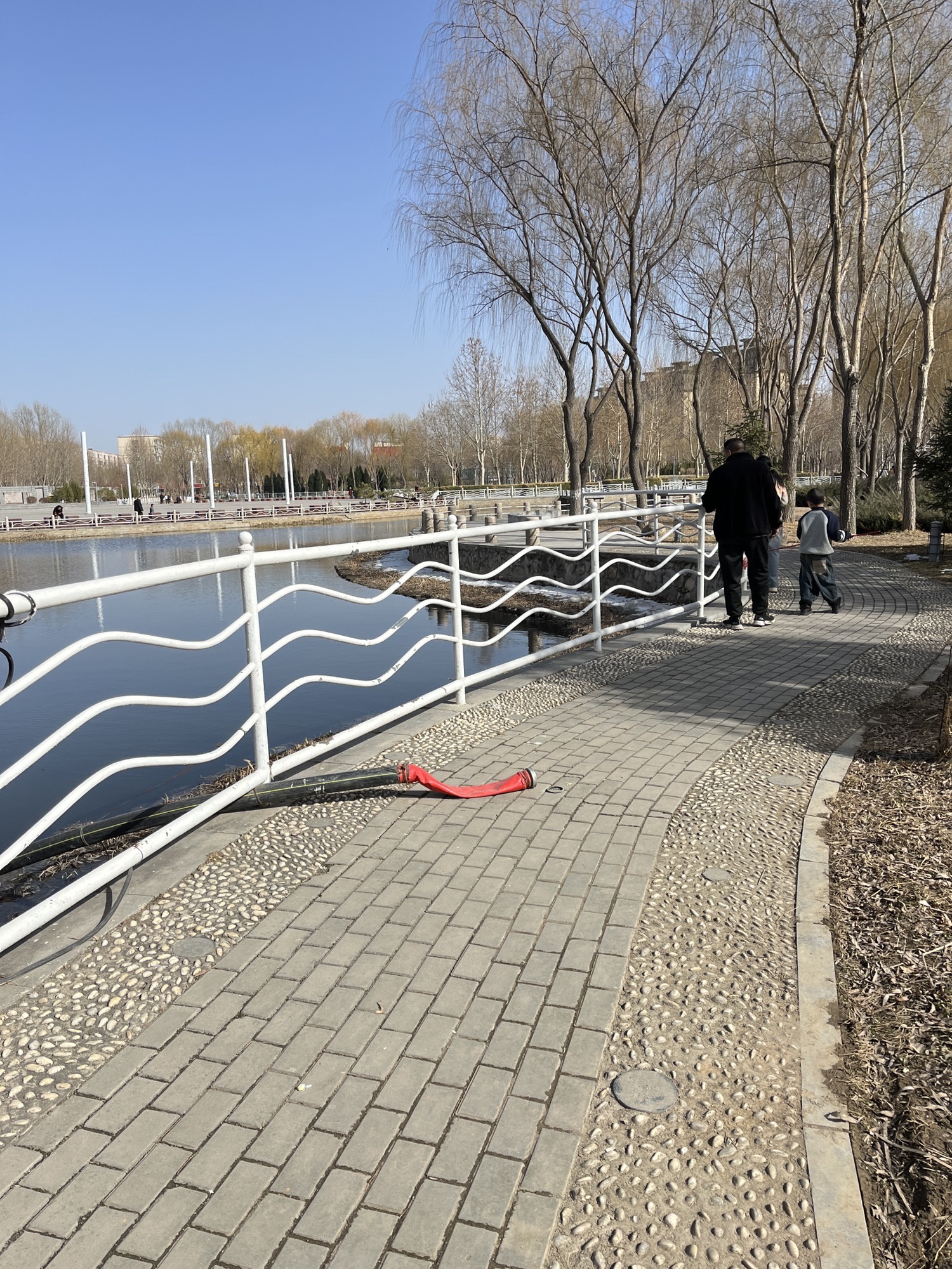 伏羲公园旅行图片 3
