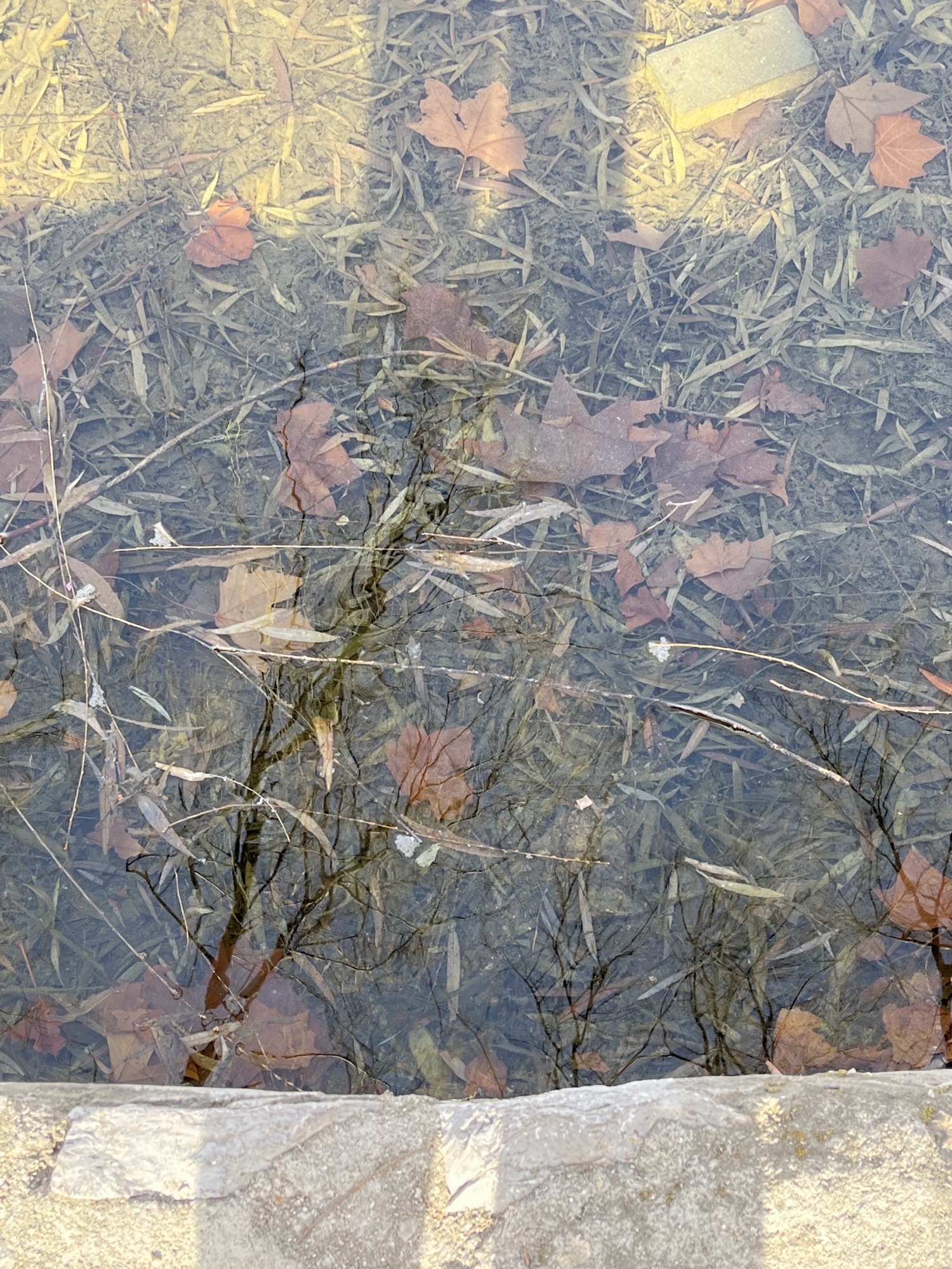 伏羲公园旅行图片 2
