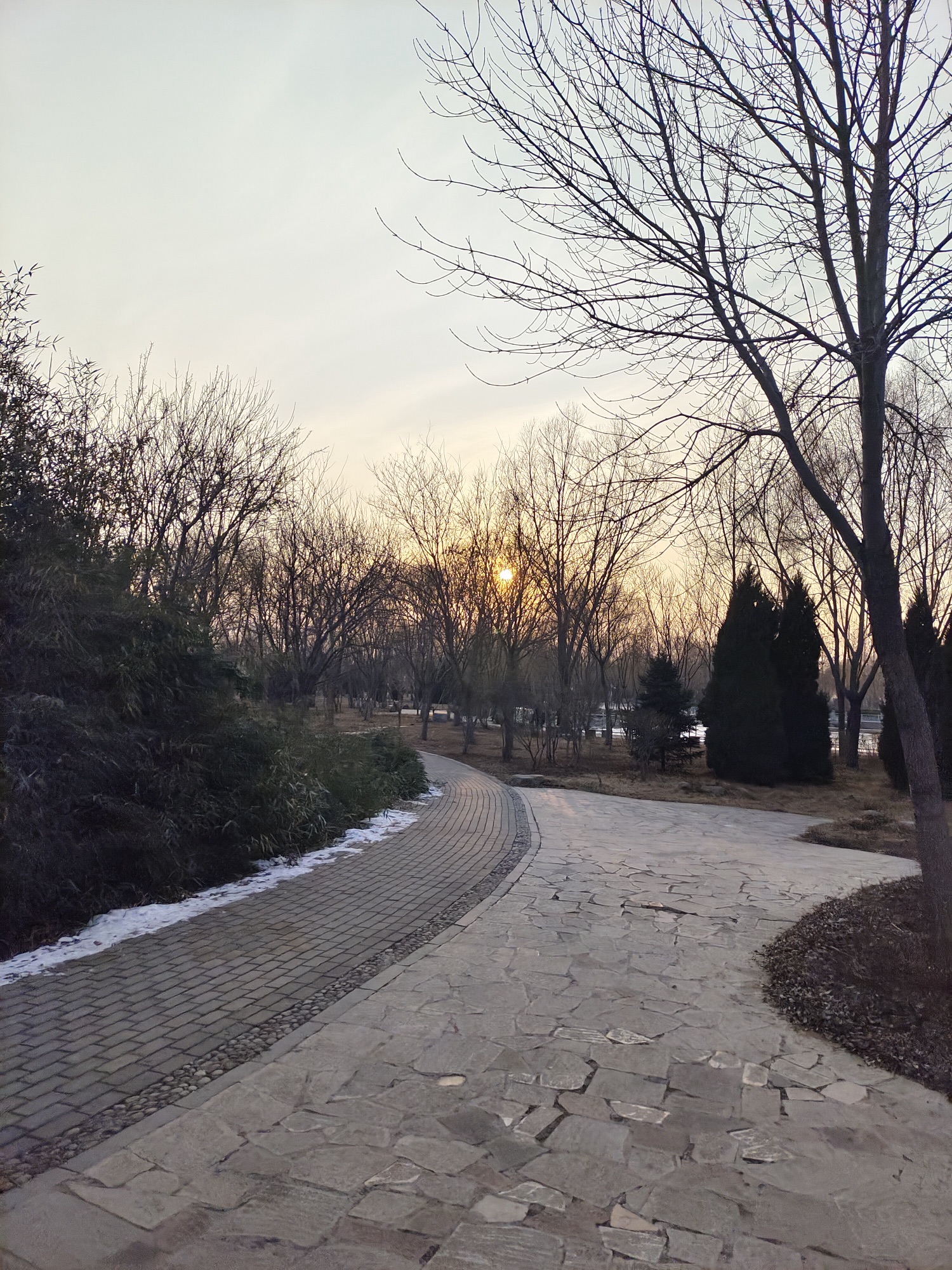 伏羲公园旅行图片 3