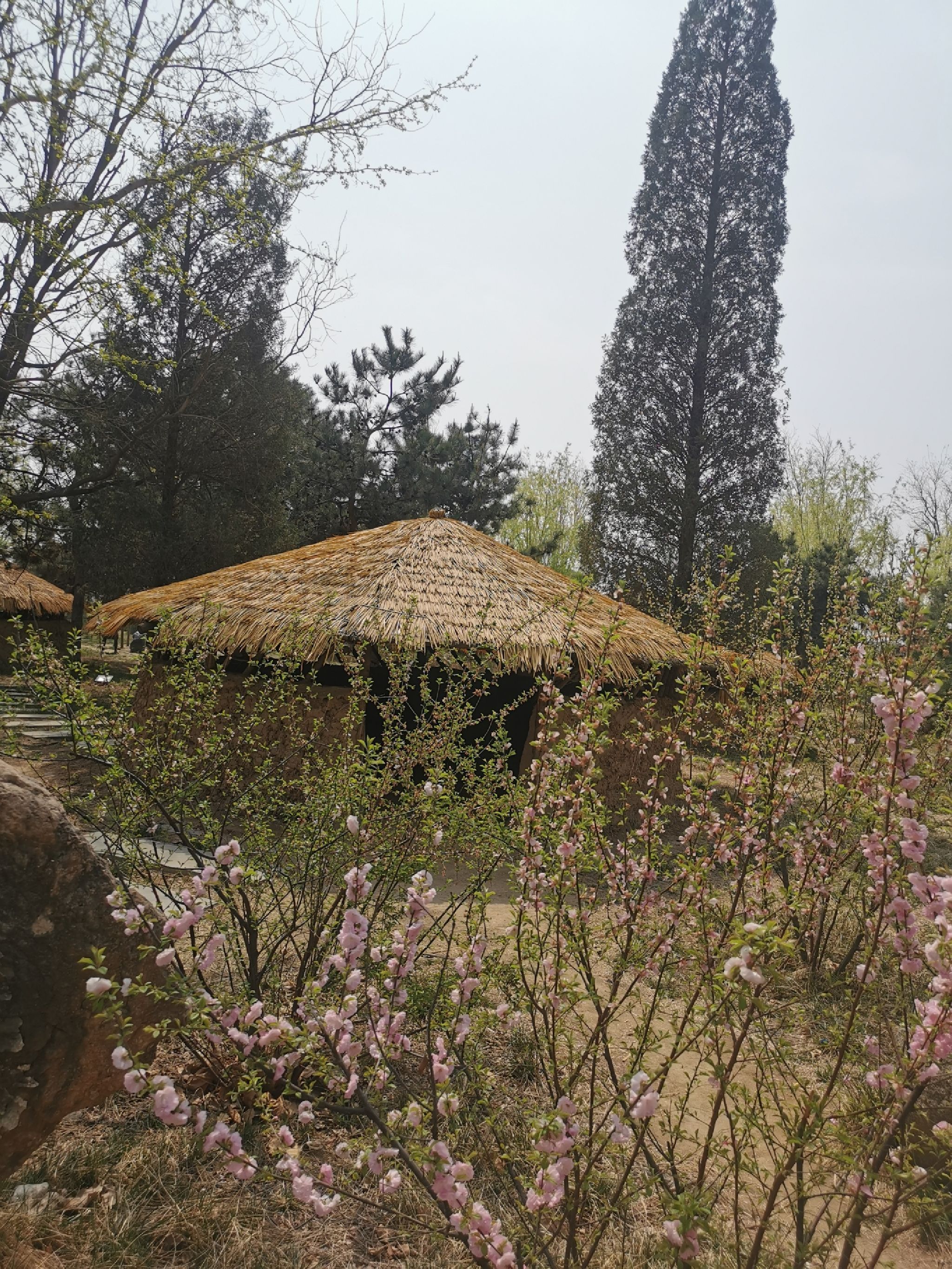 伏羲公园旅行图片 3