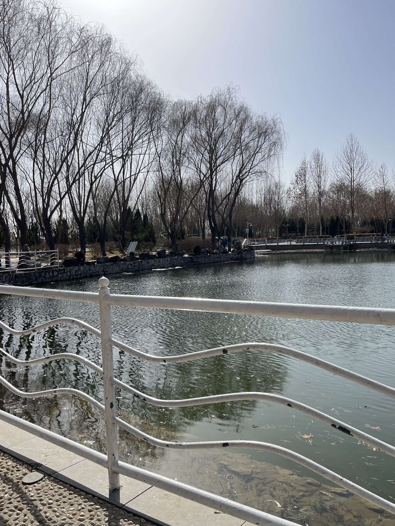 伏羲公园旅行图片 1