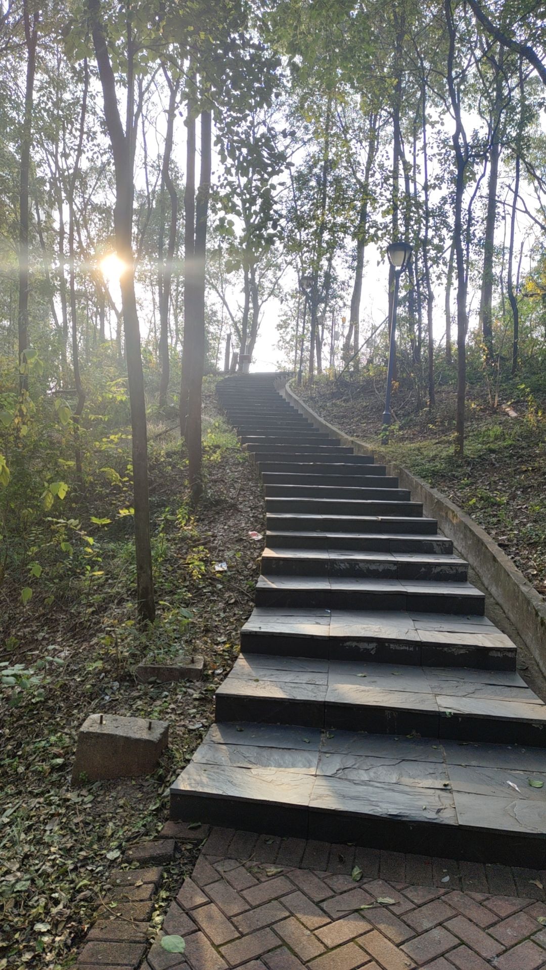 马阜岭公园旅行图片 1