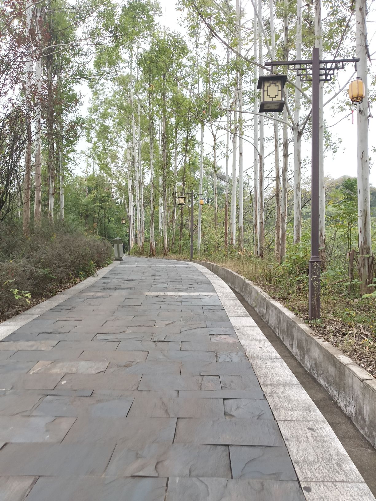 马阜岭公园旅行图片 3