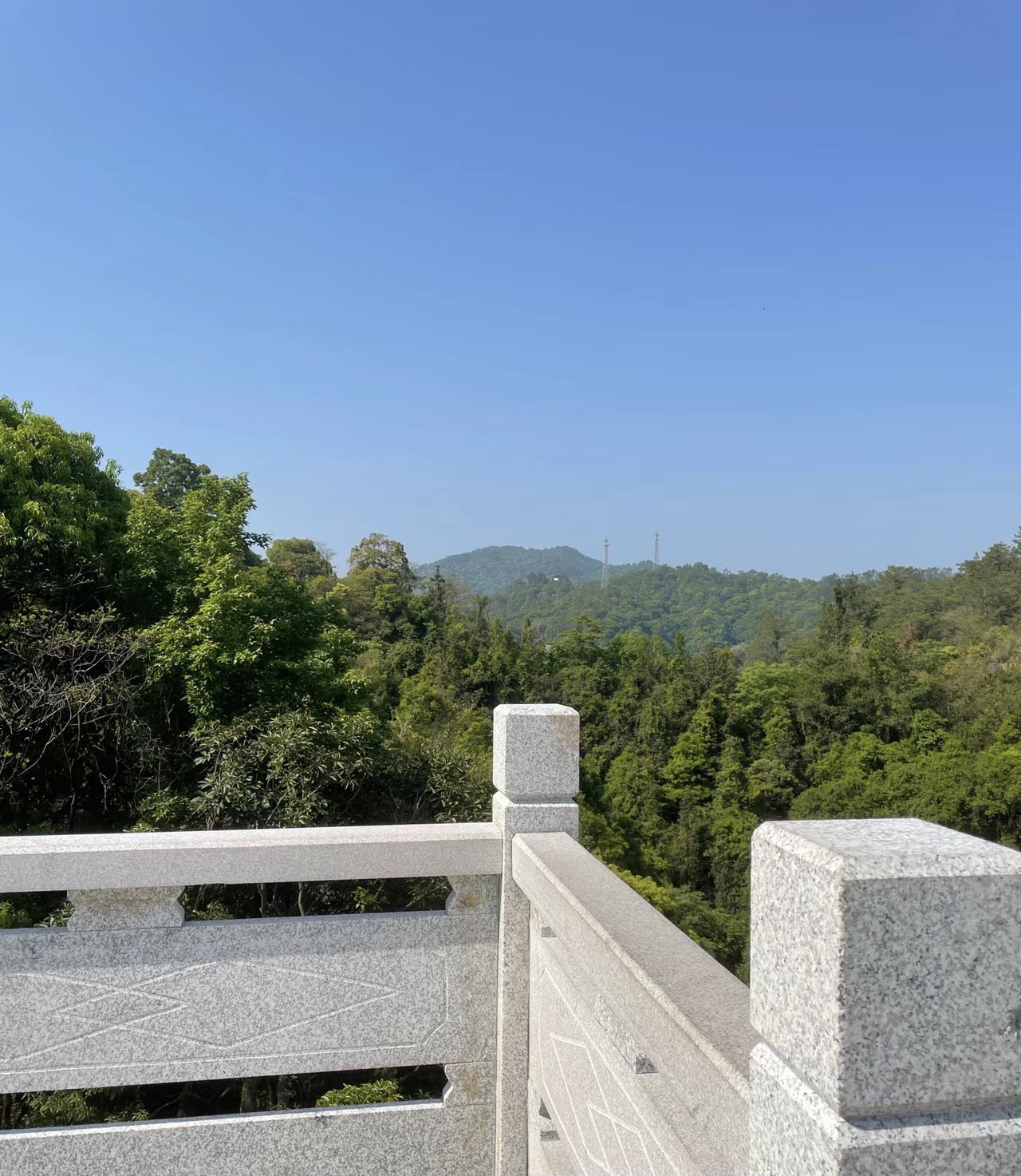 新丰江森林公园-九里湖畔旅行图片 3