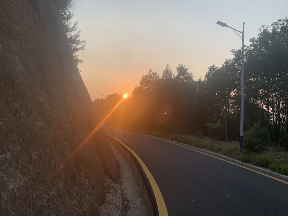 新丰江森林公园-九里湖畔旅行图片 2
