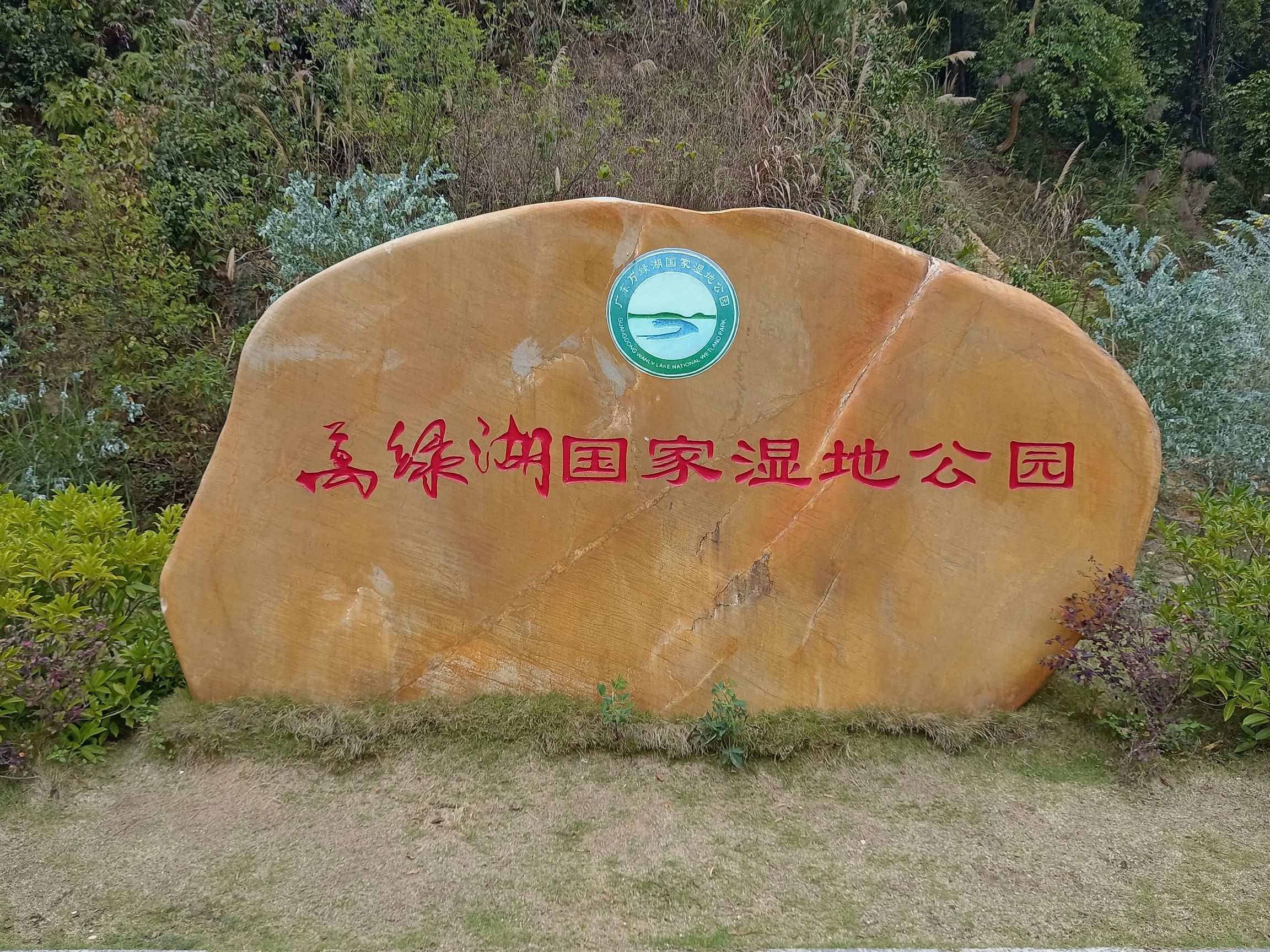 新丰江森林公园-九里湖畔旅行图片 2
