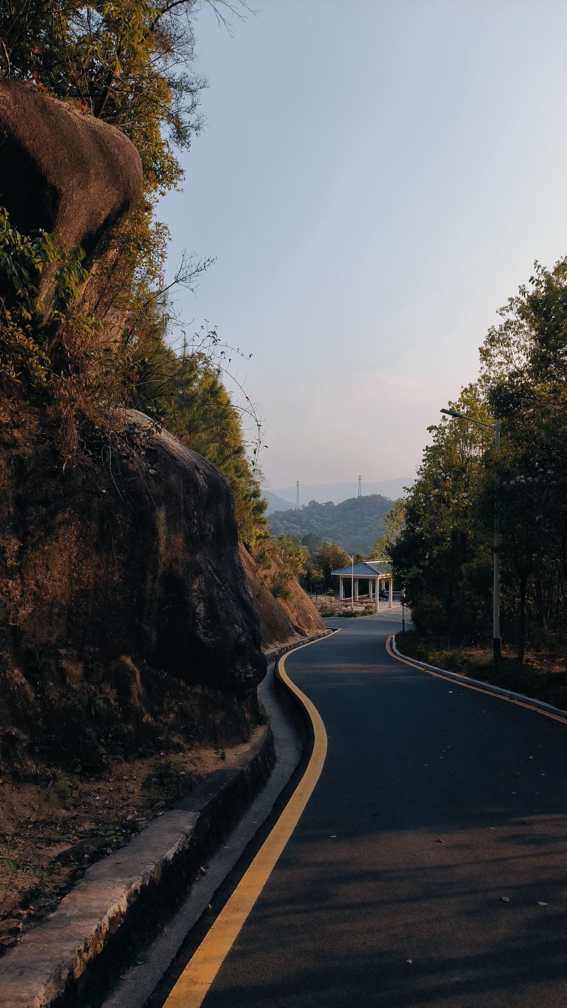 新丰江森林公园-九里湖畔旅行图片 3