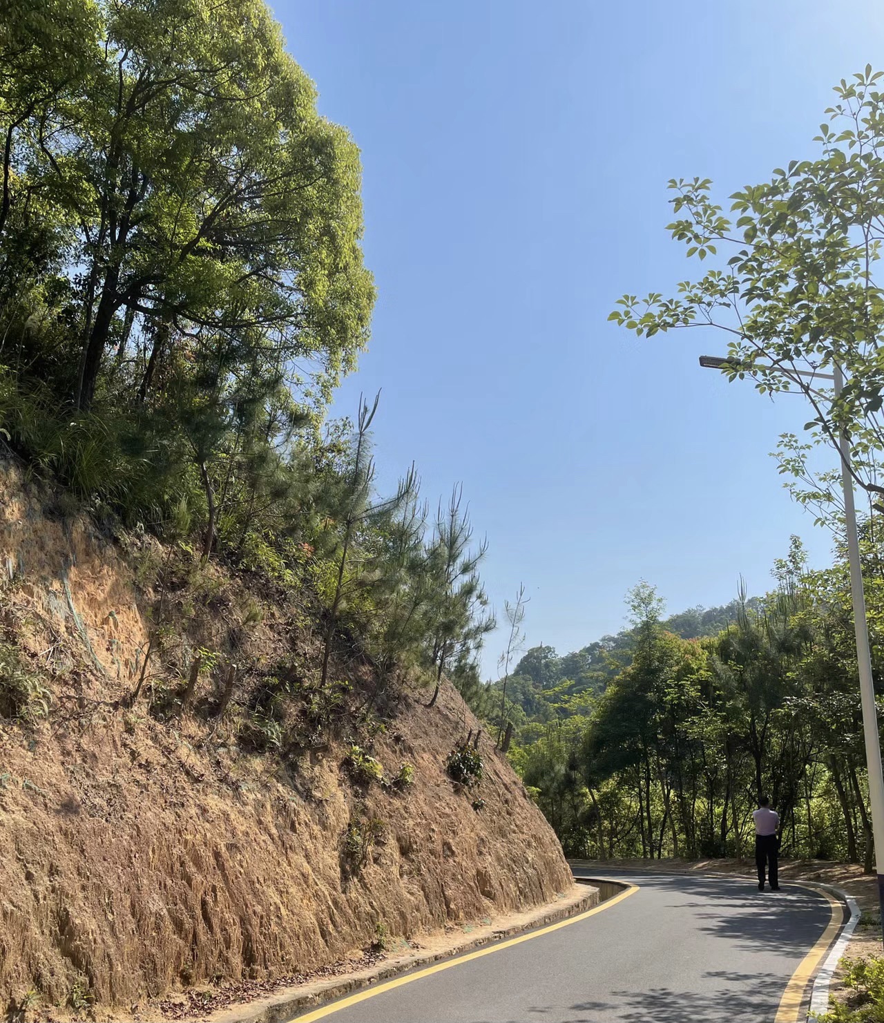 新丰江森林公园-九里湖畔旅行图片 2