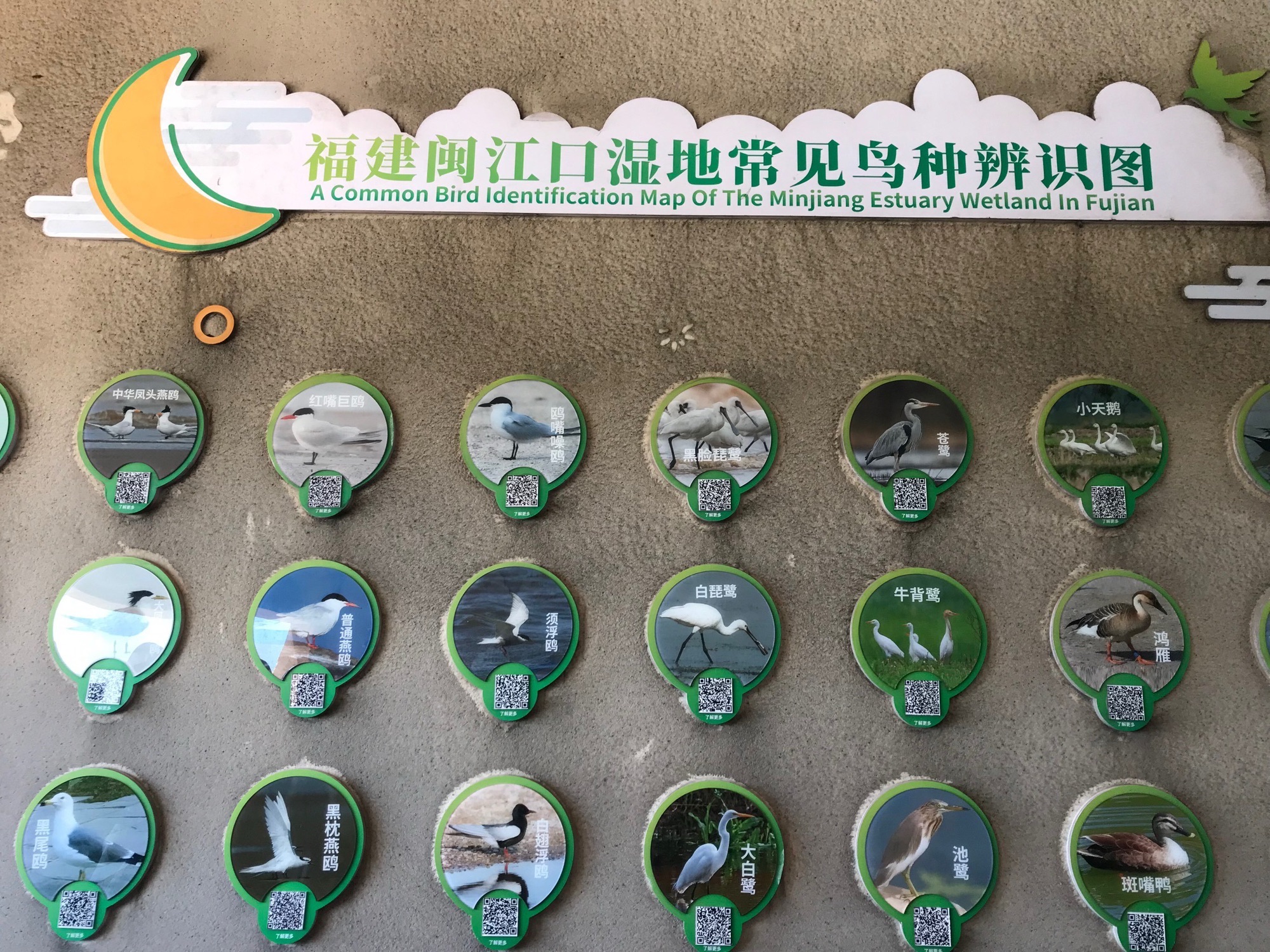 闽江河口国家湿地公园旅行图片 2