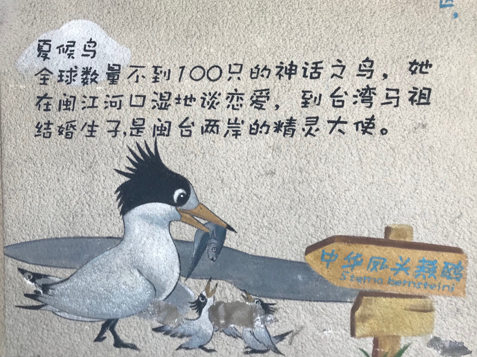 闽江河口国家湿地公园旅行图片 3