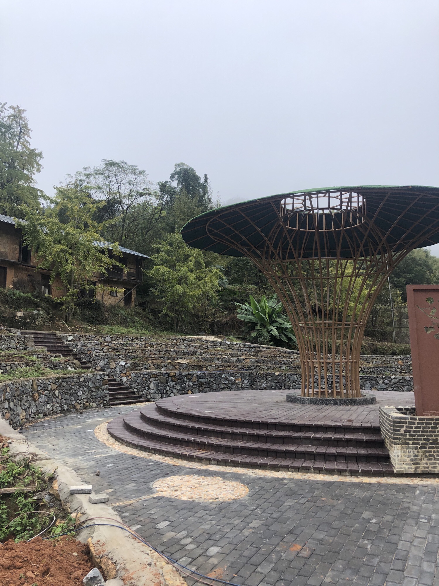 坪田银杏森林公园旅行图片 3