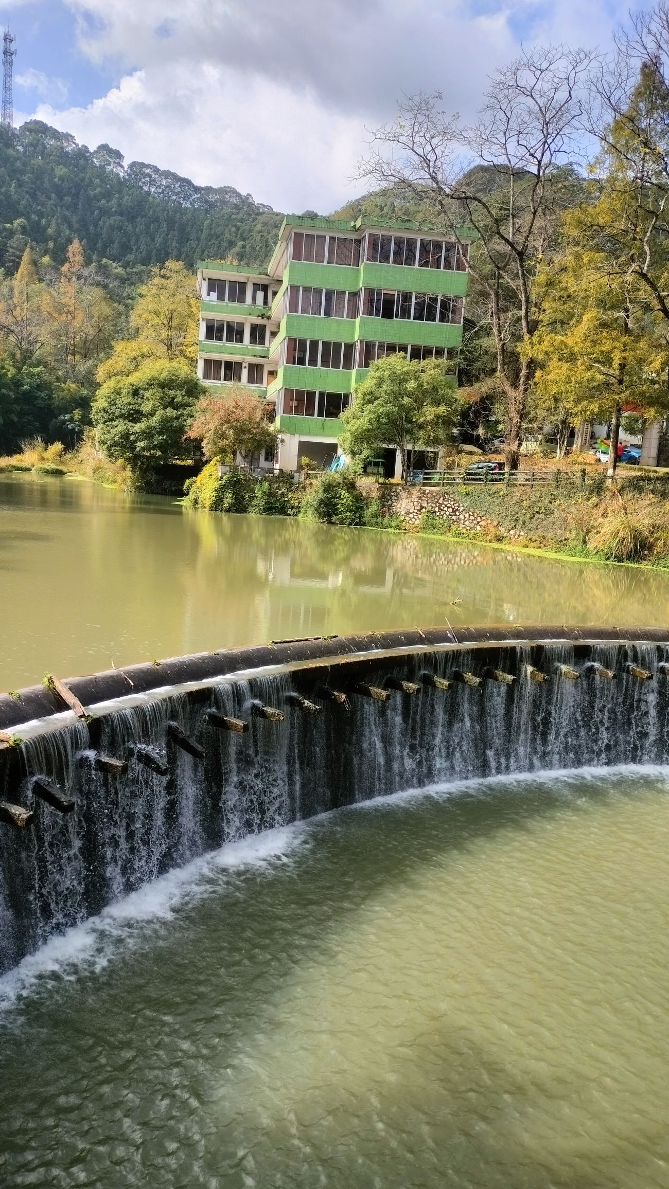 坪田银杏森林公园旅行图片 3