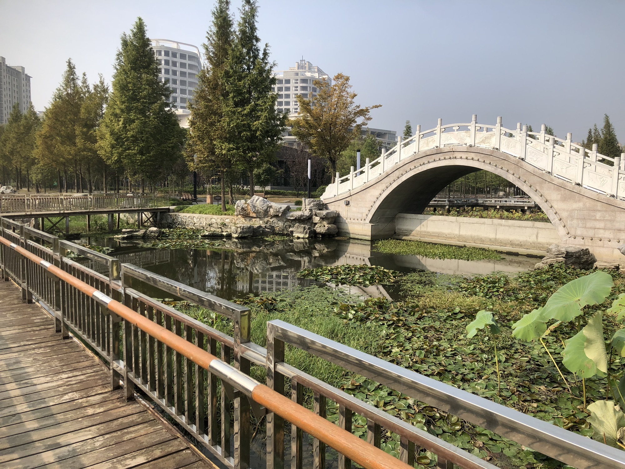 蒋王半岛公园旅行图片 1